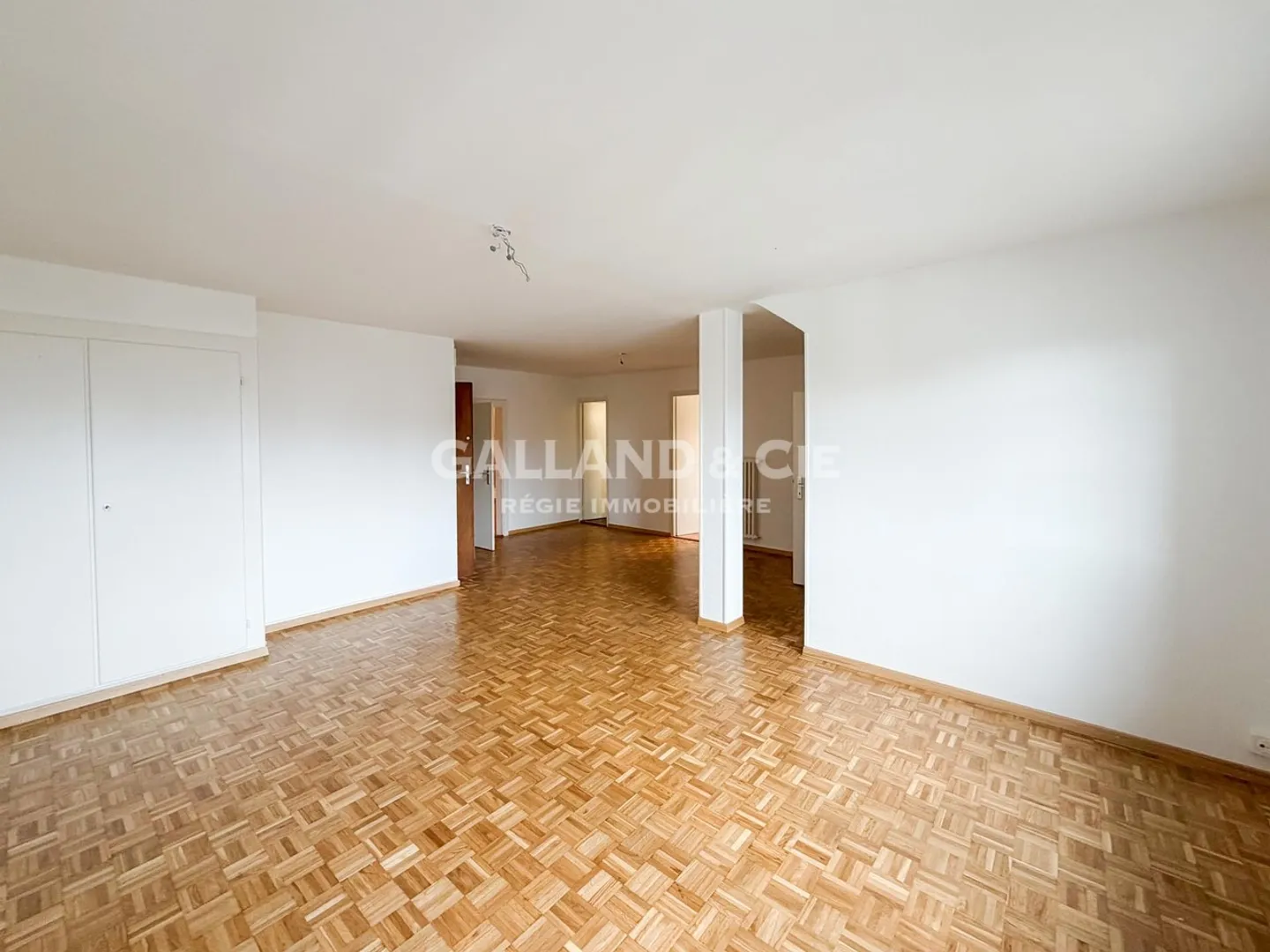 Magnifico loft nel centro di Pully in mansarda - Foto 7 di 7