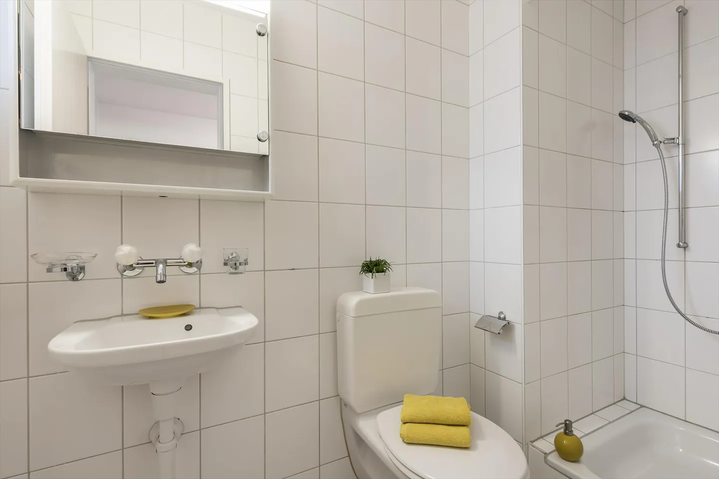 Attique 4.5 pièces - Photo 3 sur 9