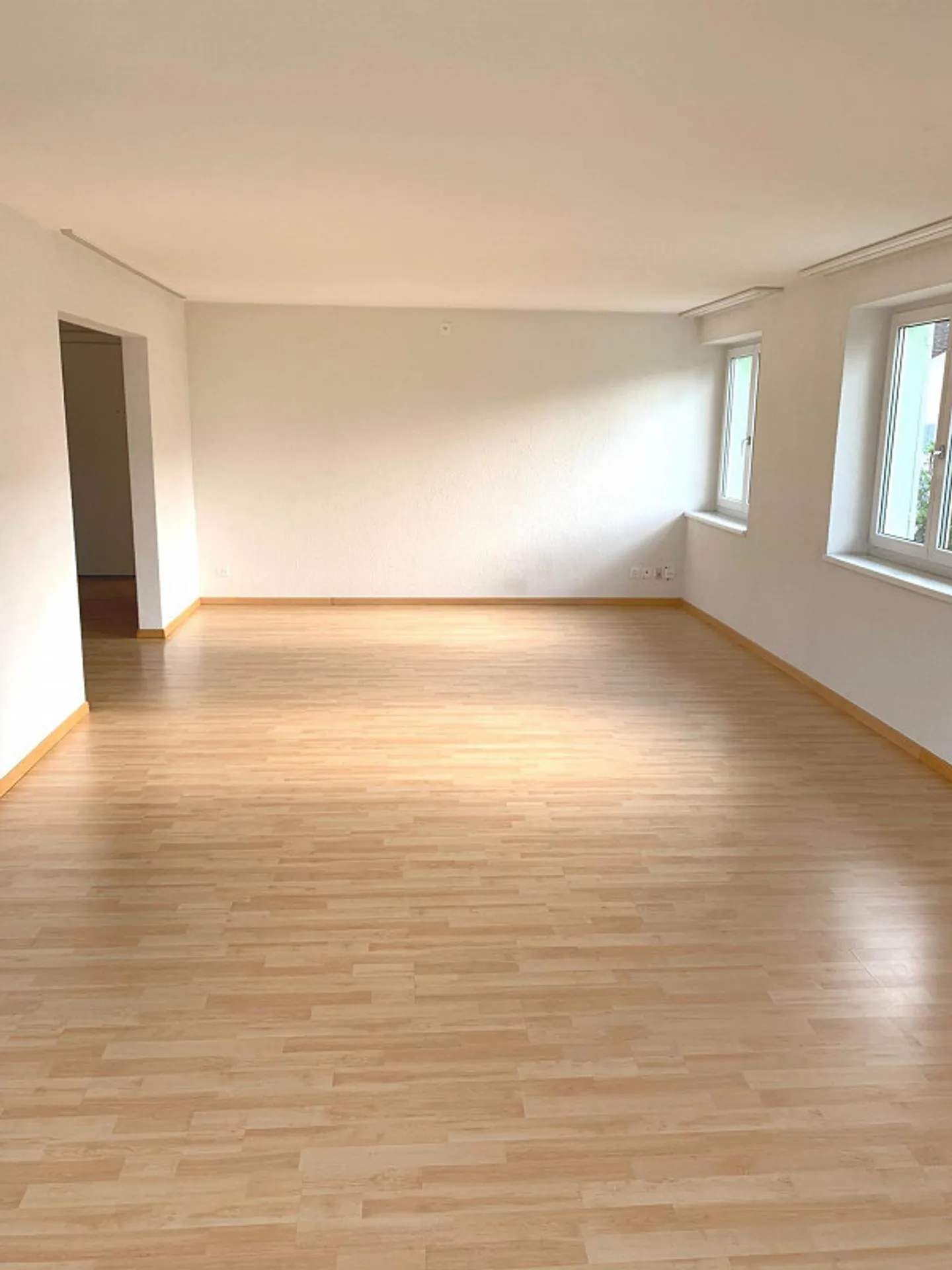 Appartement 2.5 pièces à Schaffhouse - Photo 2 sur 7