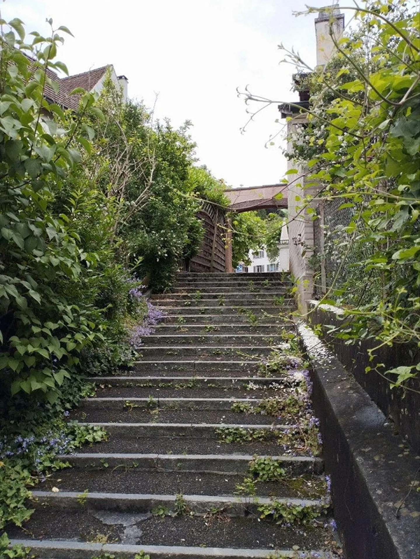 Maison Tiny unique de 2,5 pièces dans la verdure - Photo 9 sur 10