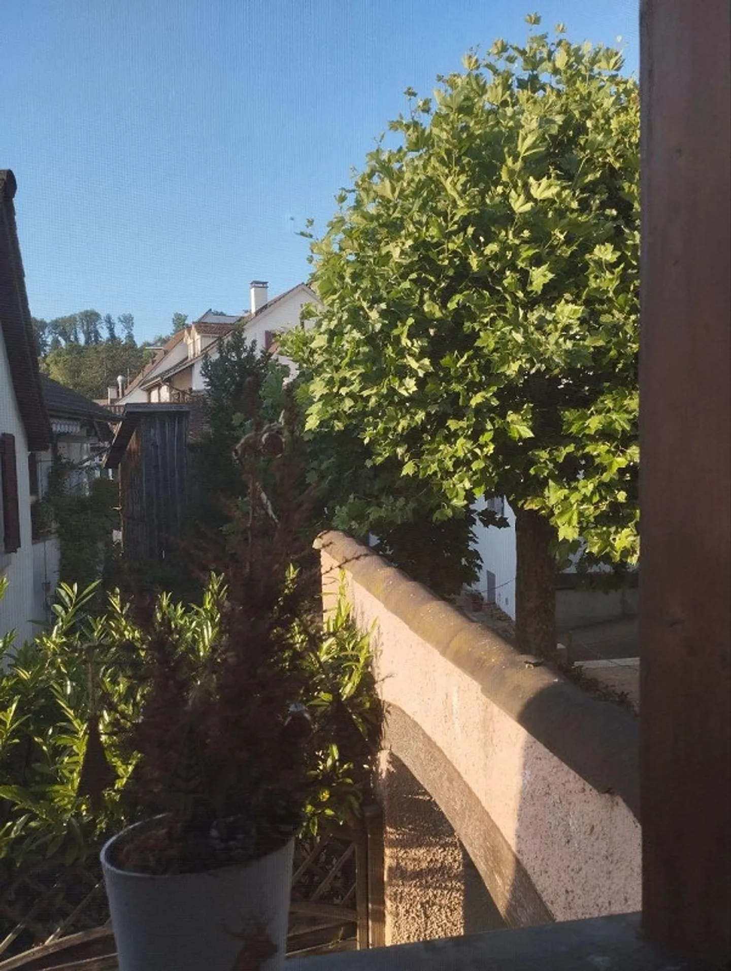 Maison Tiny unique de 2,5 pièces dans la verdure - Photo 10 sur 10