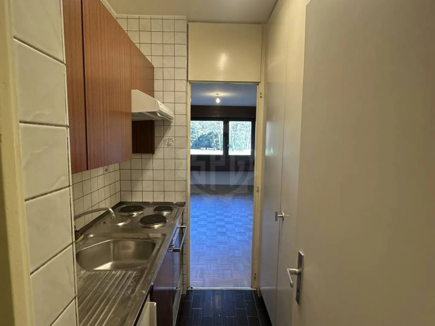 Pleasant Apartment - Geneva - Photo 1 of 5