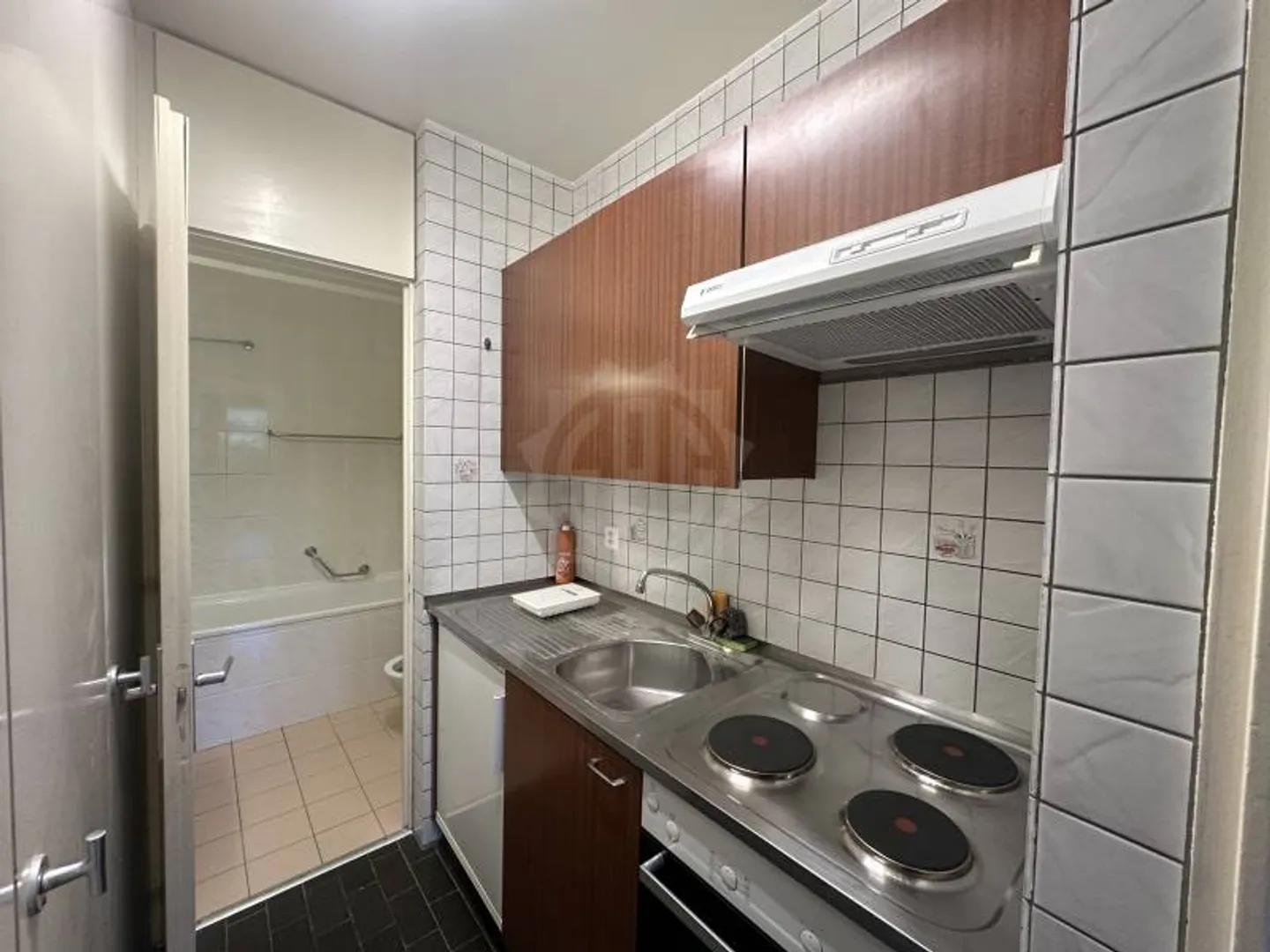 Pleasant Apartment - Geneva - Photo 4 of 5