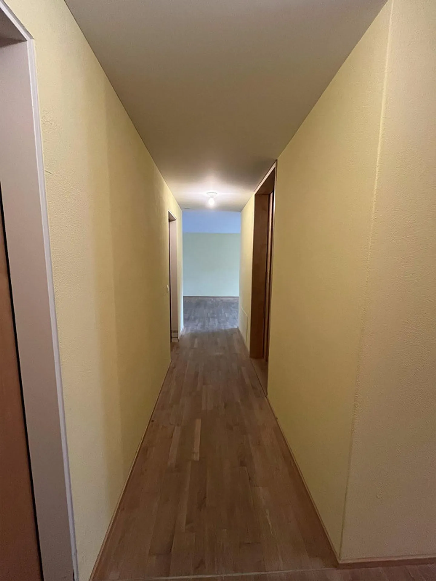 Appartamento di 3.5 locali al piano giardino nell'area Benerpark - Foto 4 di 13