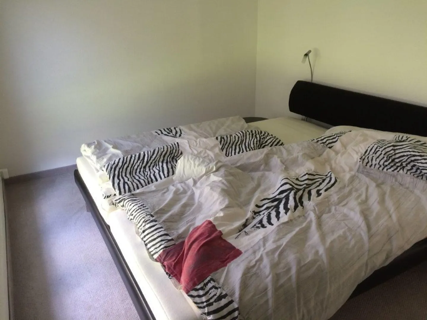 Appartamento 3.5 stanze al piano terra - Foto 3 di 12