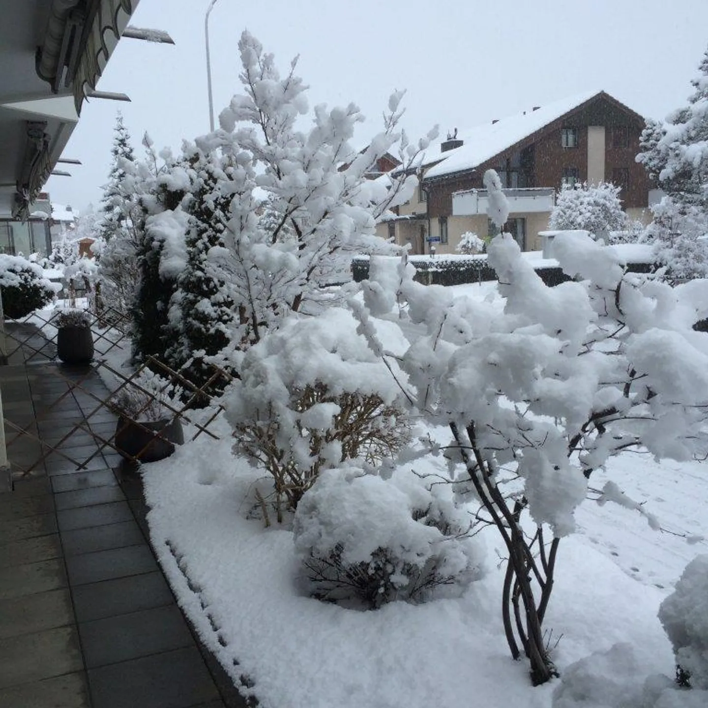 Appartamento 3.5 stanze al piano terra - Foto 11 di 12