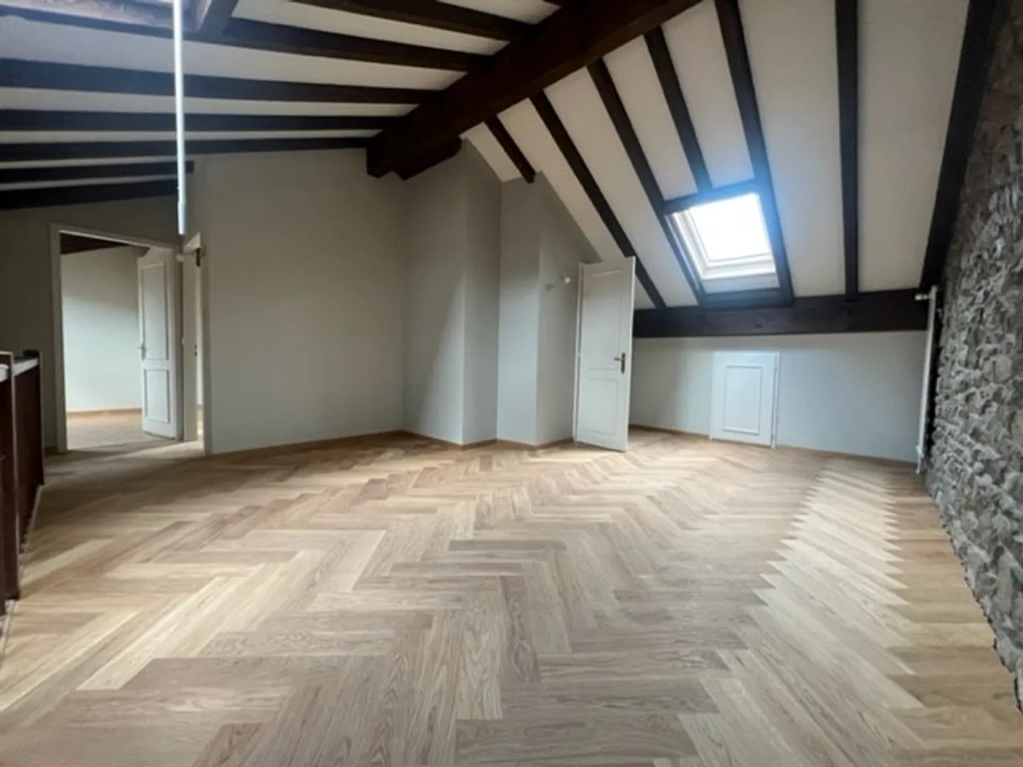 Außergewöhnliches Objekt im Herzen von Vieux-Carouge - Foto 8 von 11