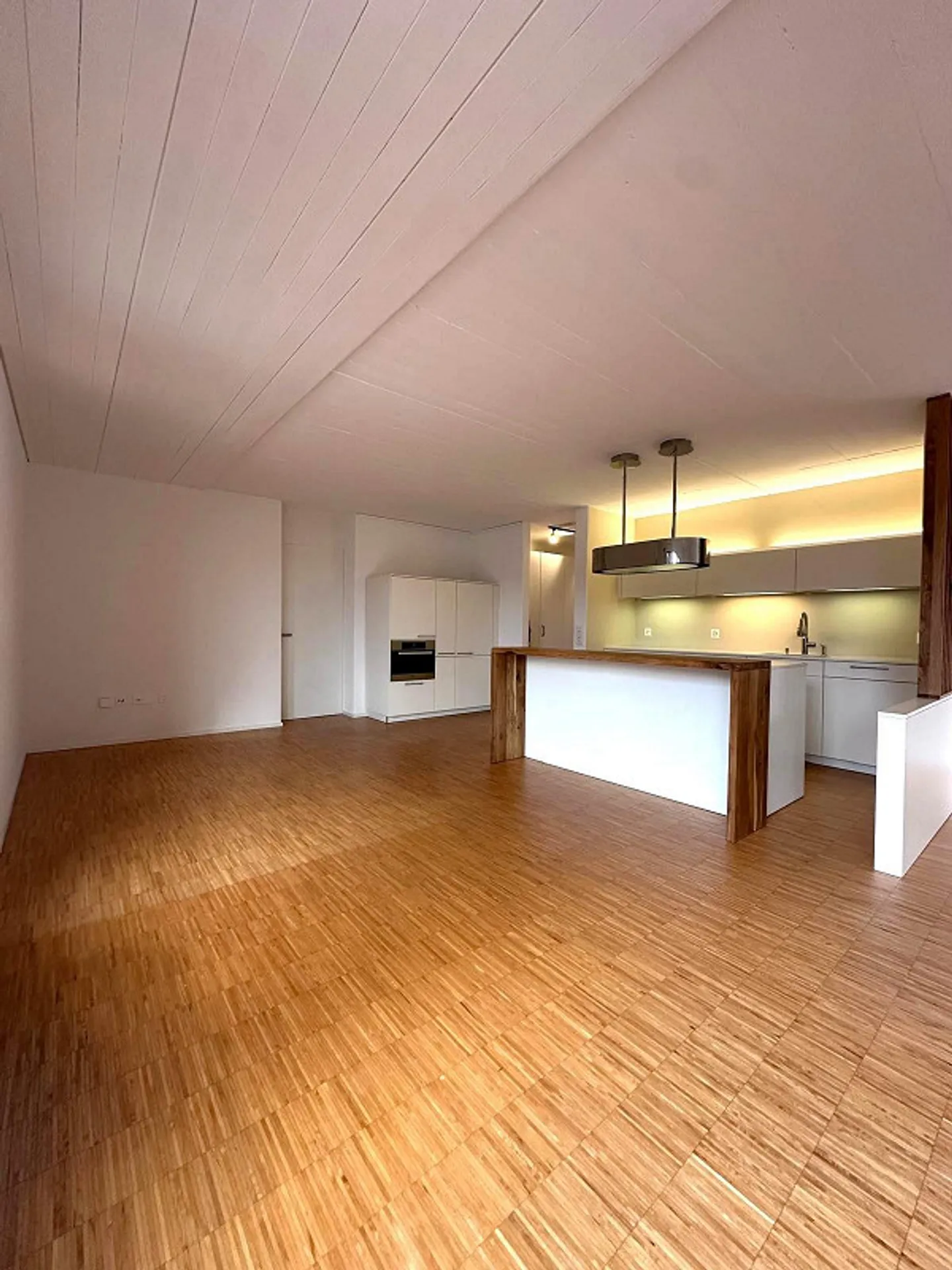 Appartamento con terrazza 3,5 locali con vista panoramica spettacolare - Foto 11 di 20