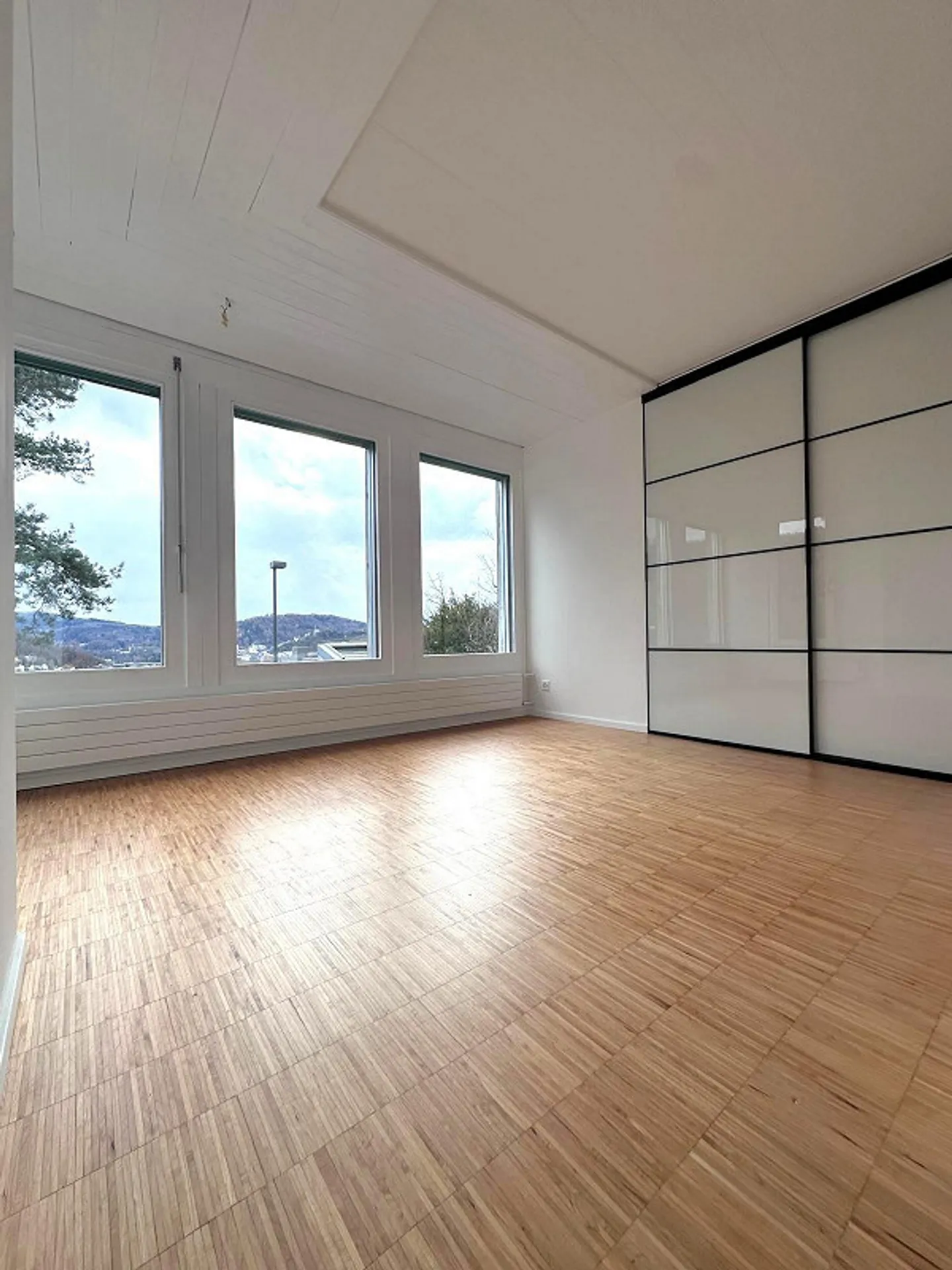 Appartamento con terrazza 3,5 locali con vista panoramica spettacolare - Foto 5 di 20