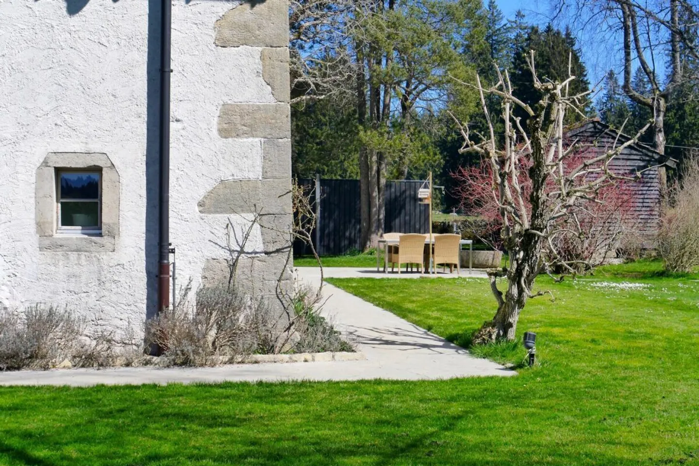 Casa singola in affitto - Foto 7 di 18