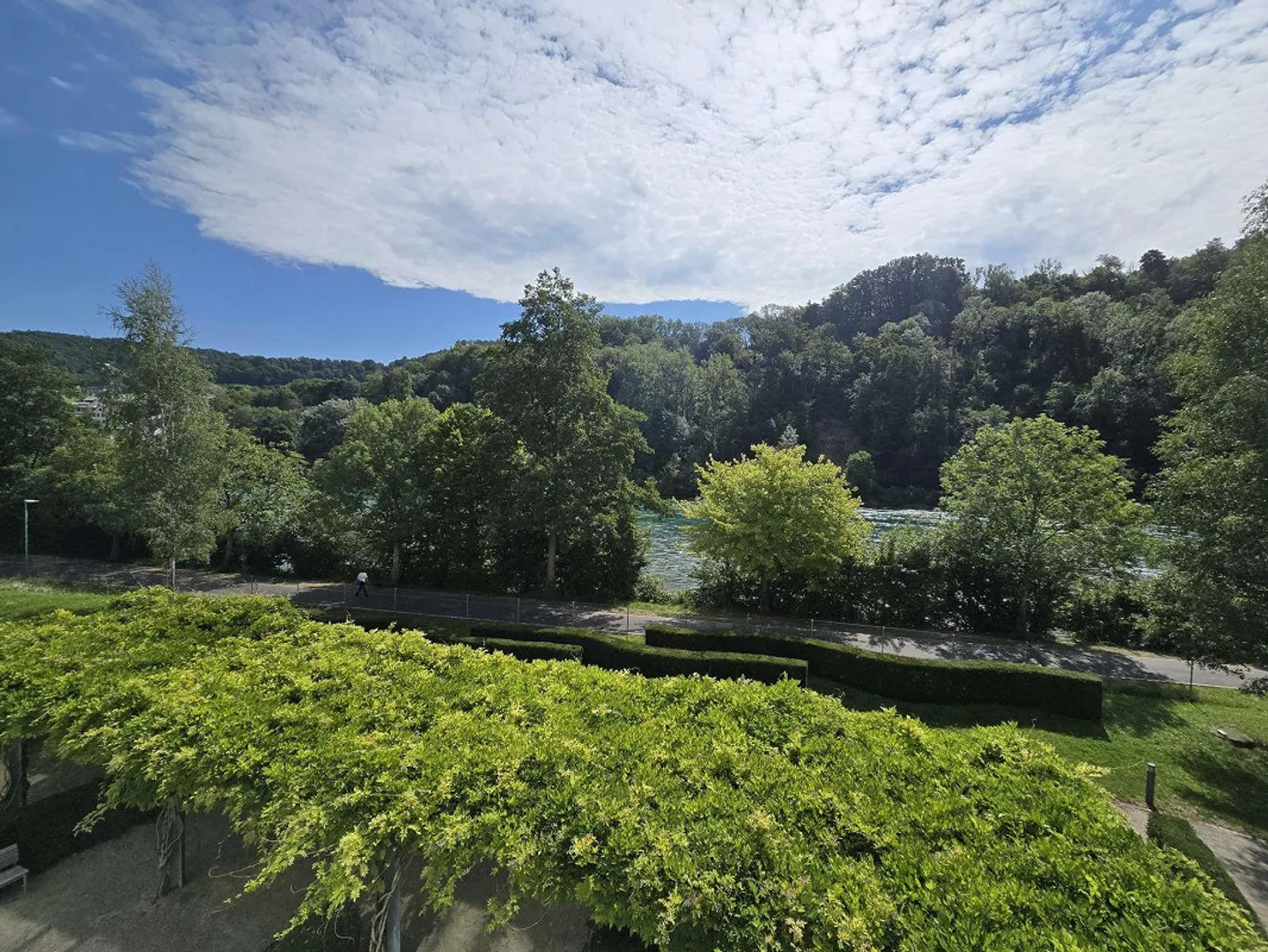 Excellent office space directly on the banks of the Rhine - Photo 25 of 28