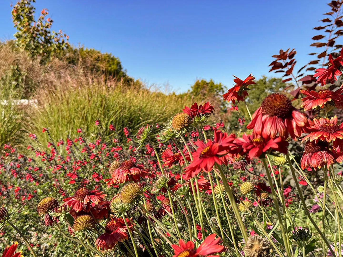 Villa 5.5 stanze - Foto 3 di 3