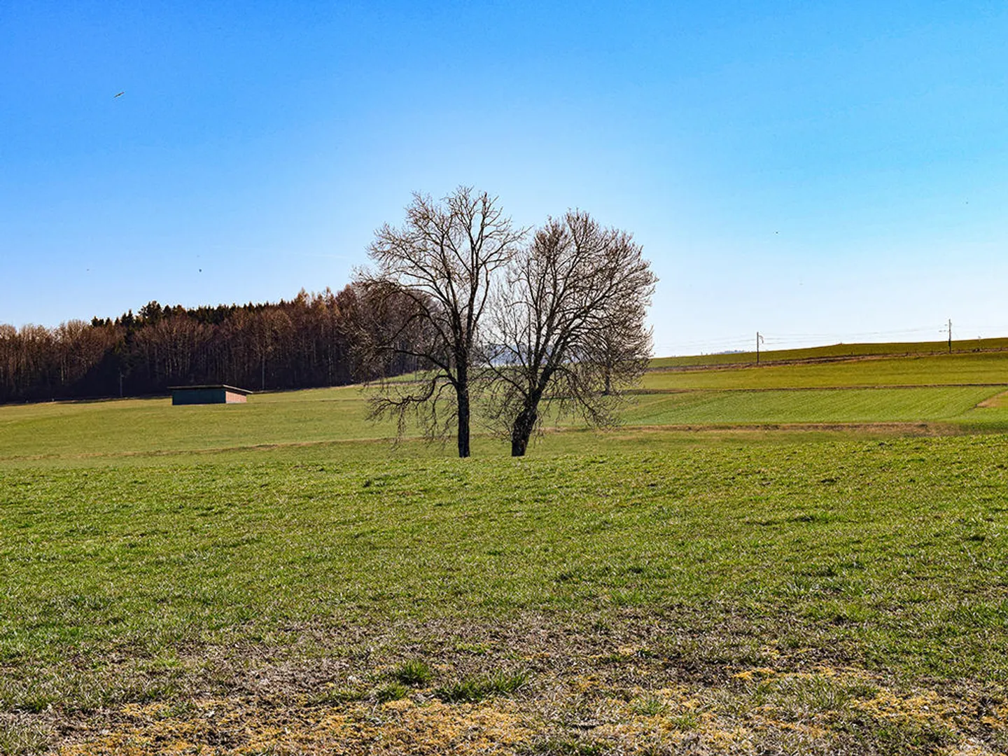 Villa 5.5 stanze - Foto 2 di 3