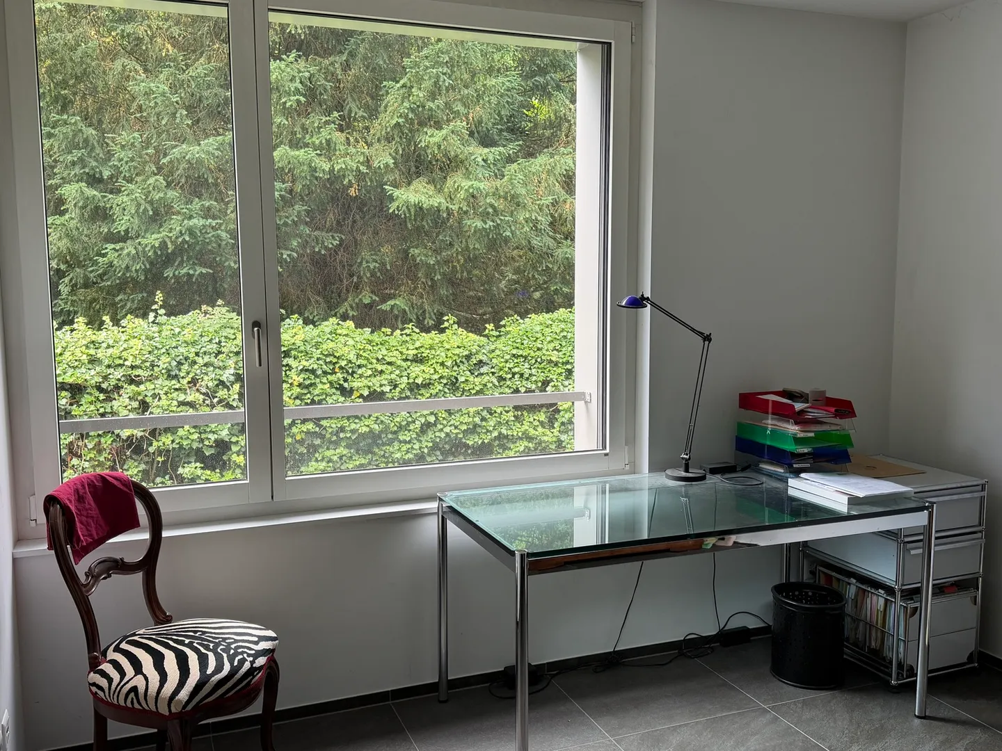 Furnished Apartment by the Lake - Photo 7 of 10