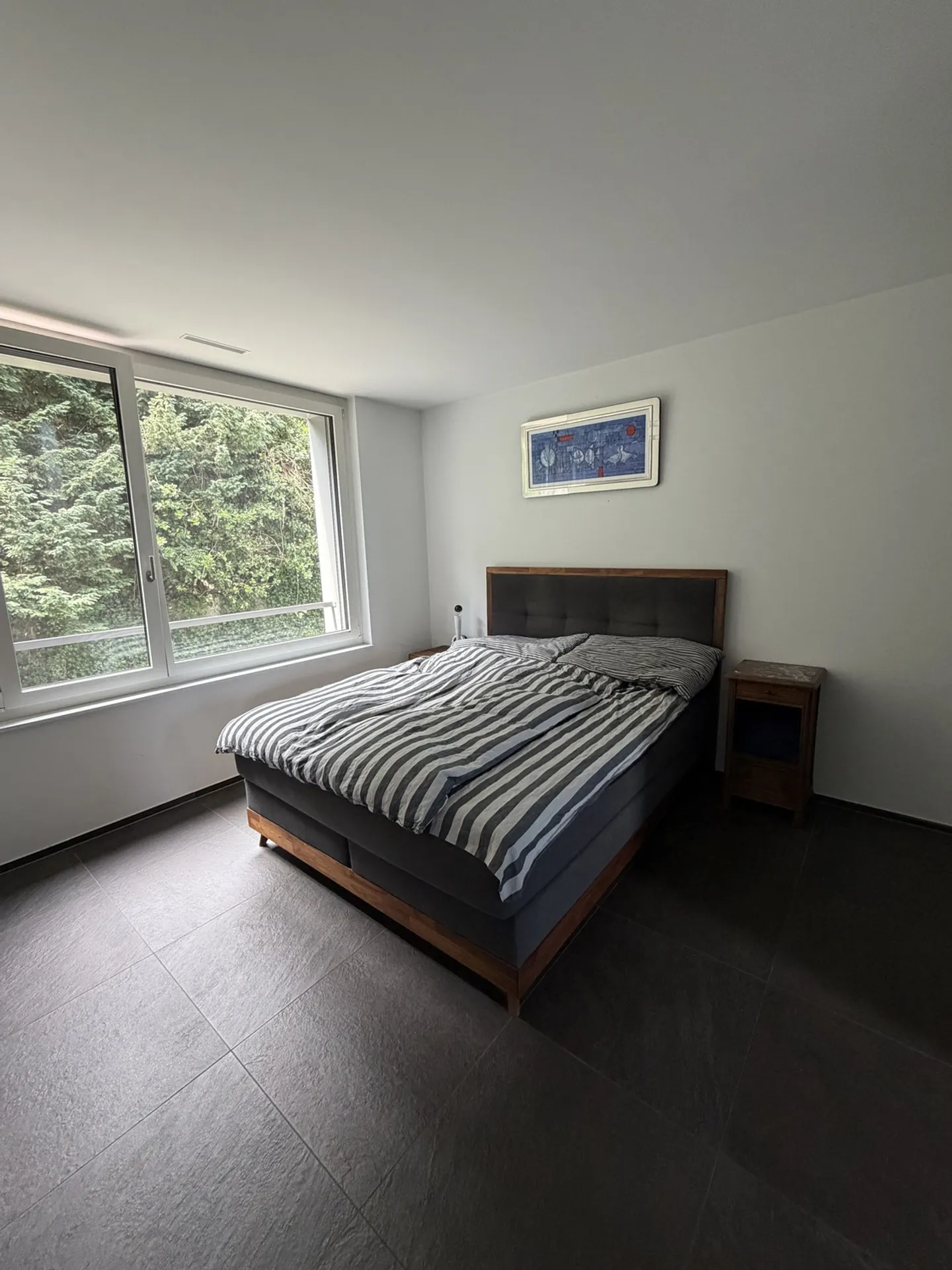 Furnished Apartment by the Lake - Photo 8 of 10