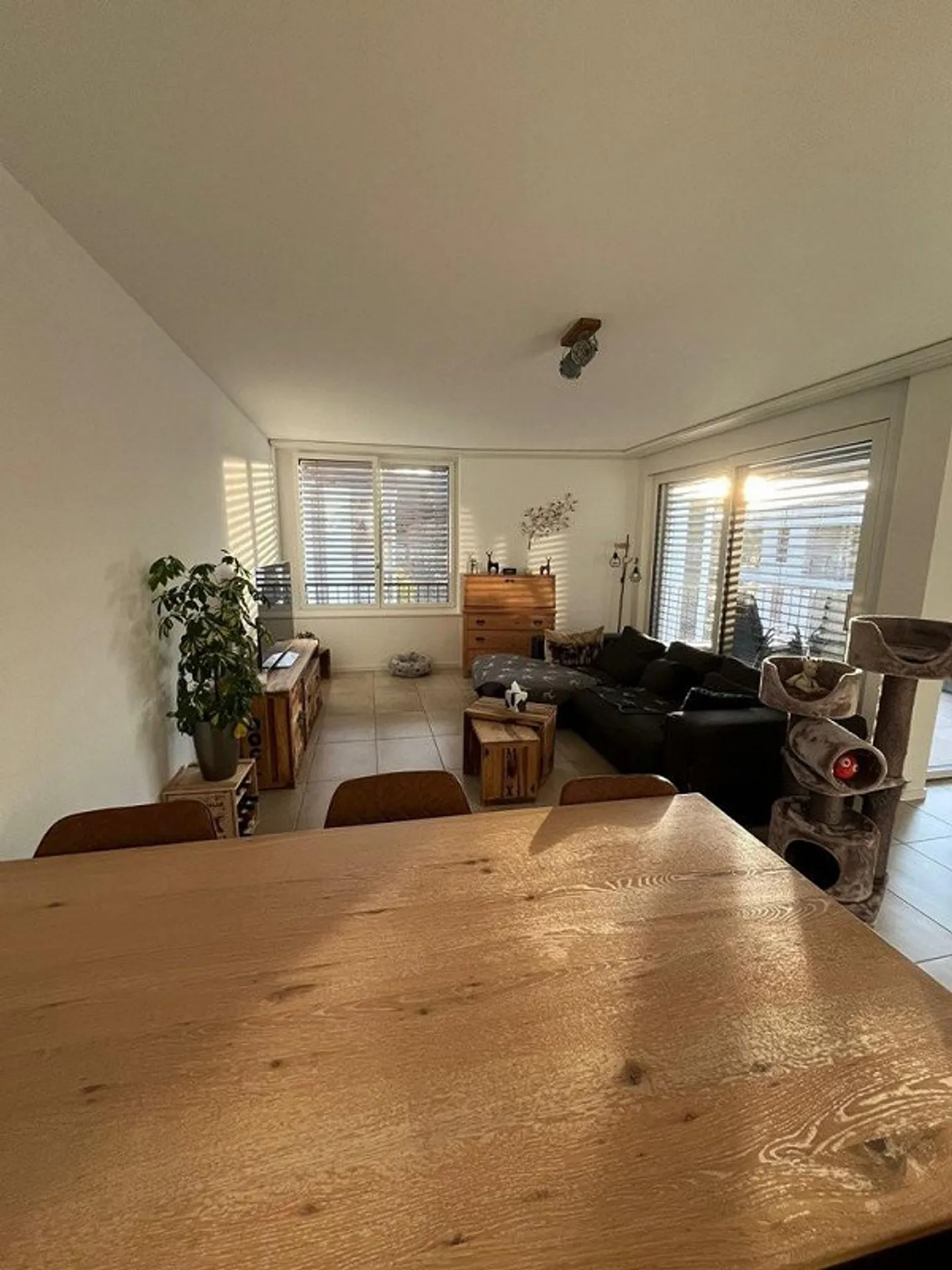 Beautiful 3.5 room apartment in the Eco-district of Marly - Photo 1 of 7