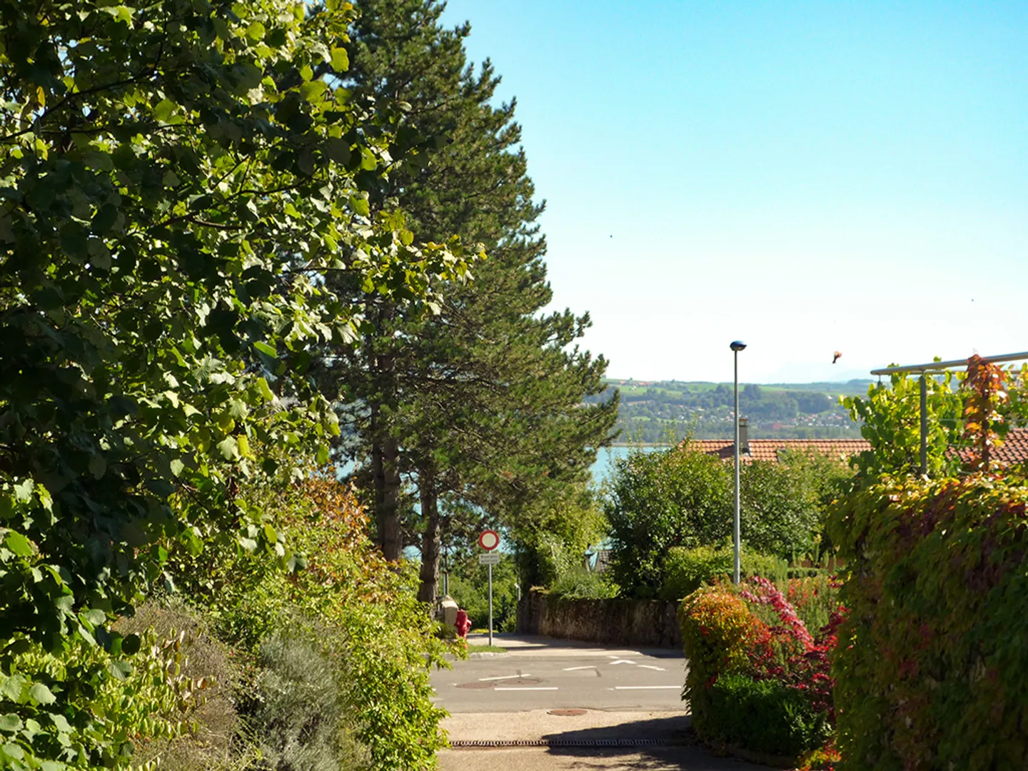 House 6.5 rooms - Photo 1 of 3