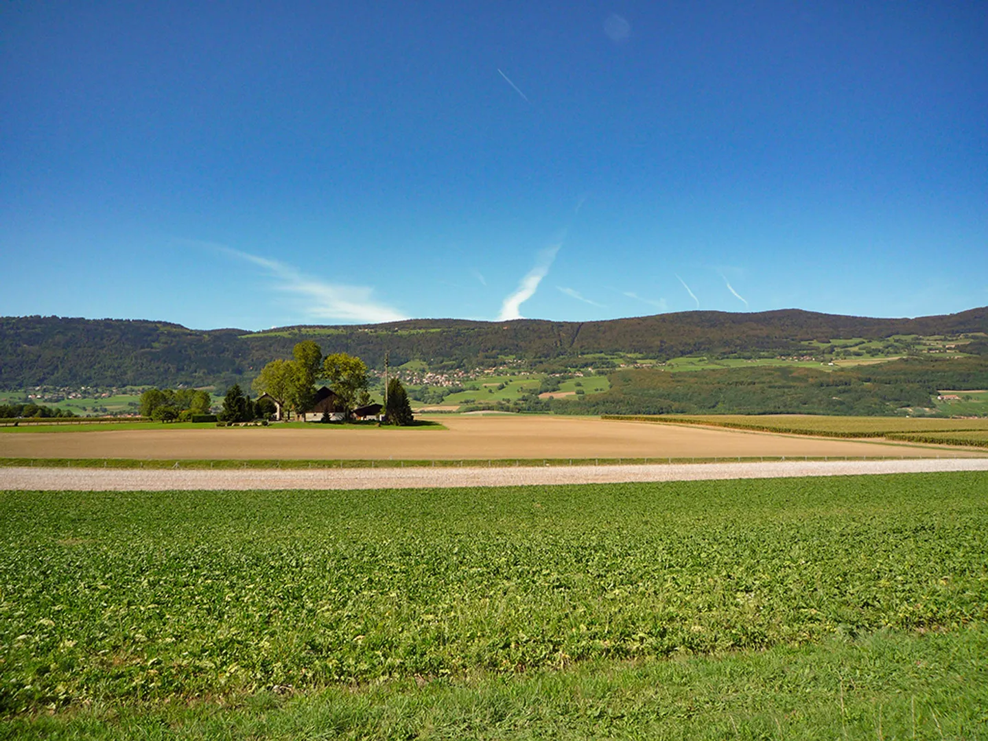 House 6.5 rooms - Photo 2 of 3