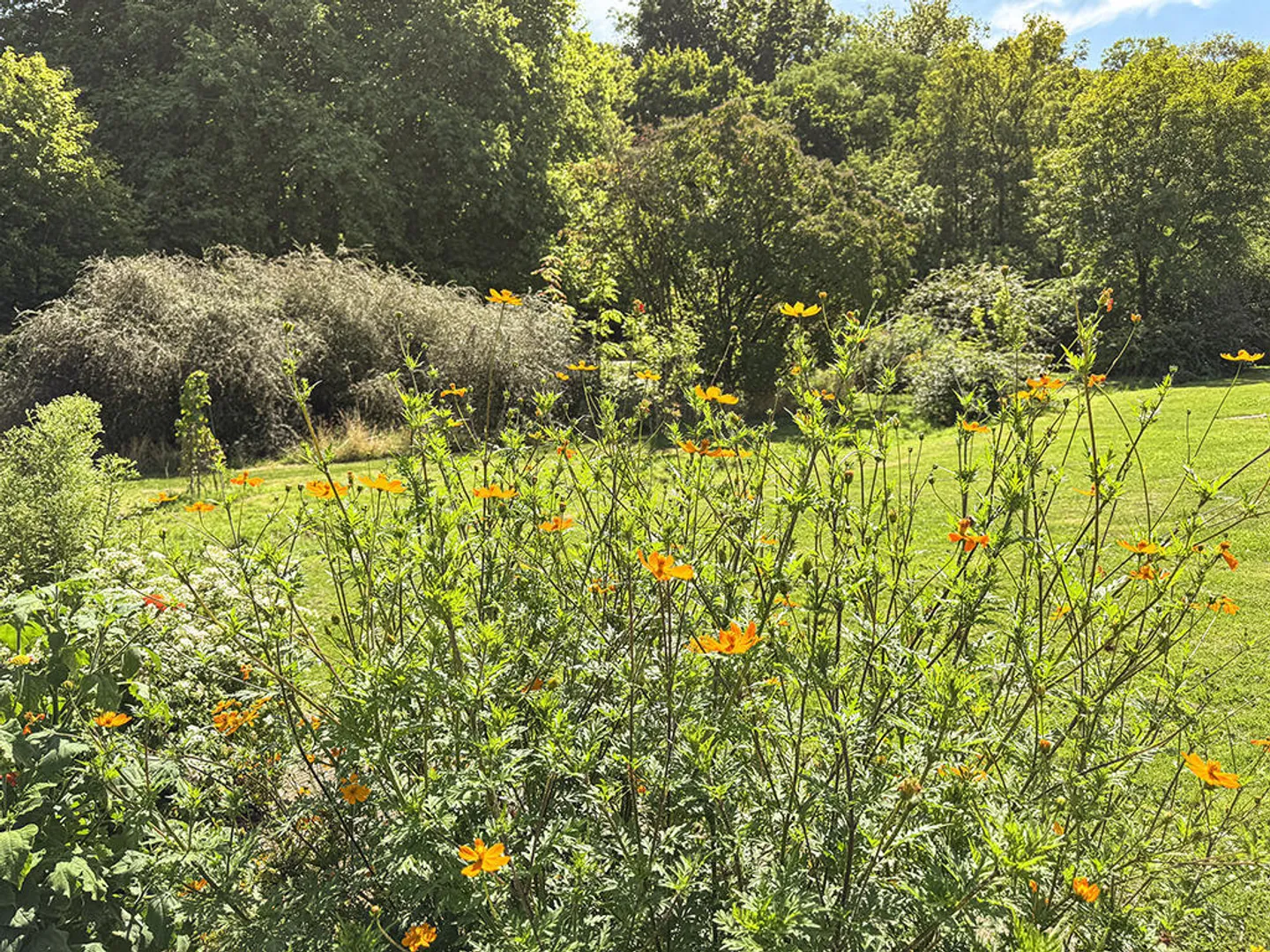 6-Zimmer-Haus - Foto 1 von 3