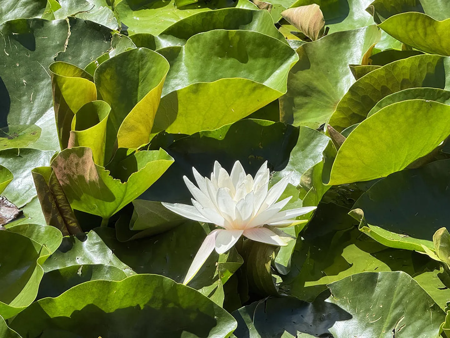 6-Zimmer-Haus - Foto 2 von 3