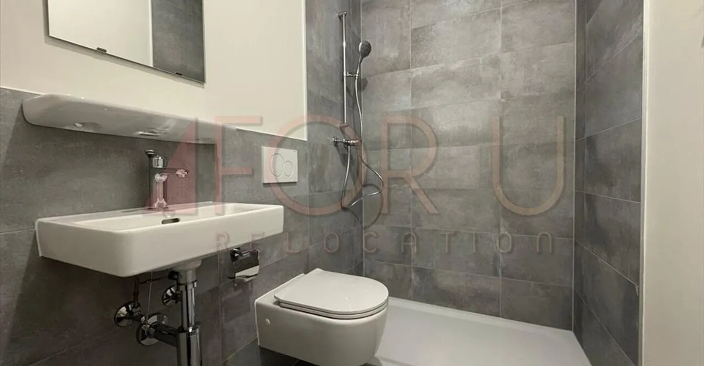 NEW - very beautiful 5-room apartment in Carouge - Photo 11 of 12