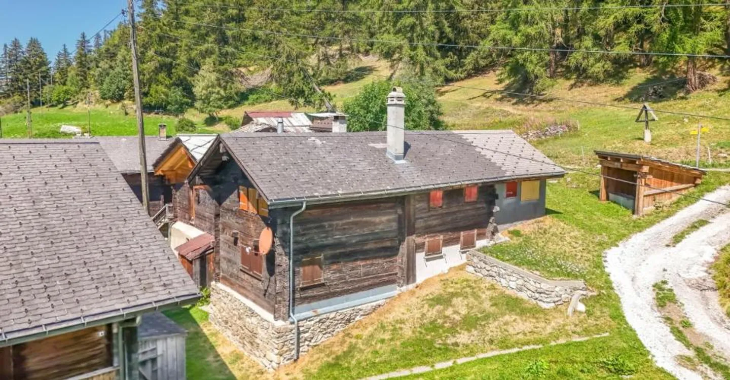Charmante Wohnung in der Natur - Foto 1 von 12