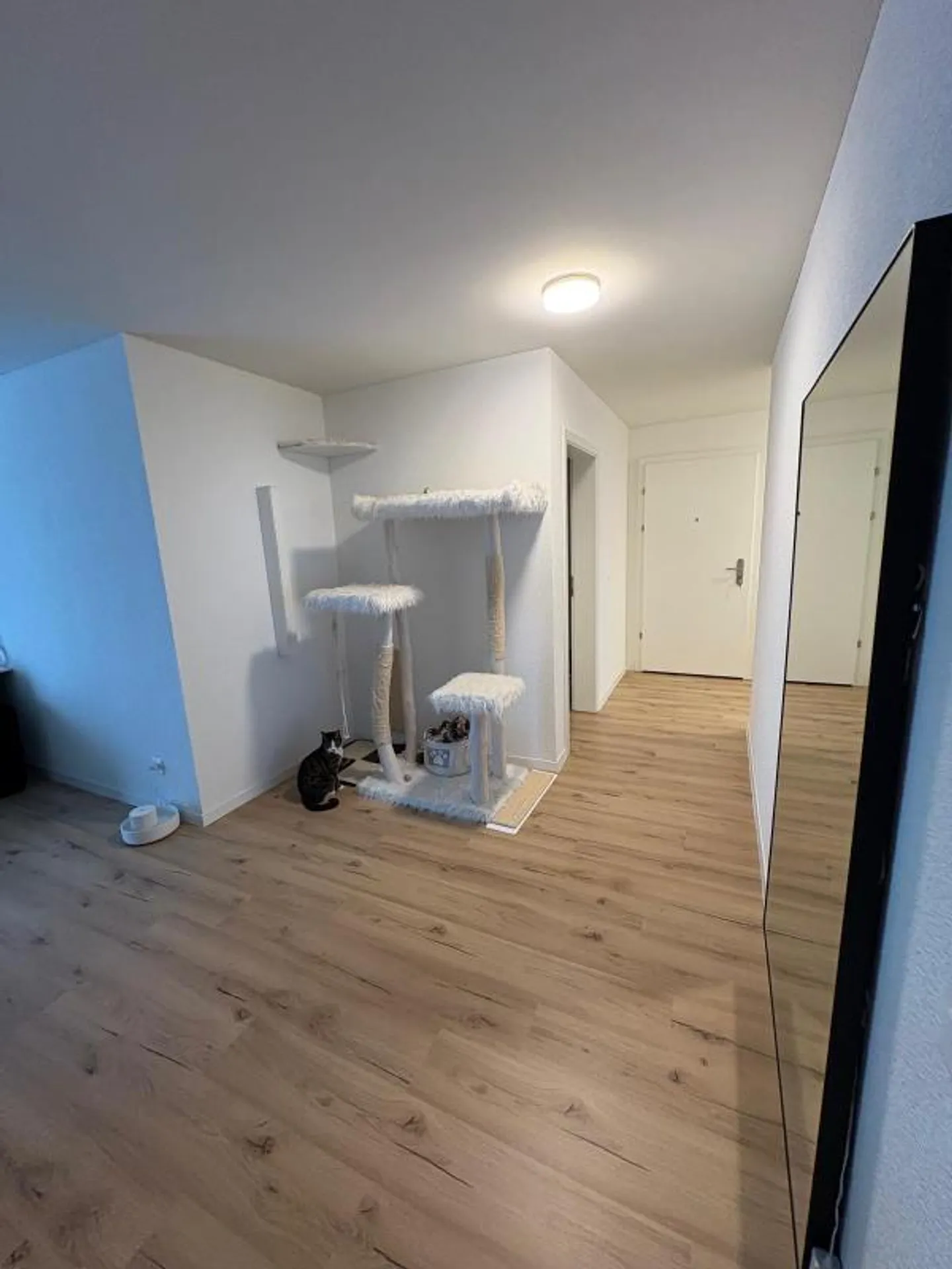 New Apartment Menziken Hamburgpark - Photo 4 of 5