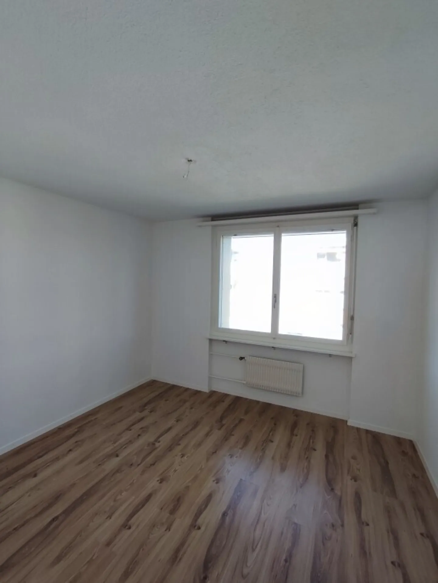 Spacious 4.5-Room Apartment - Photo 4 of 9