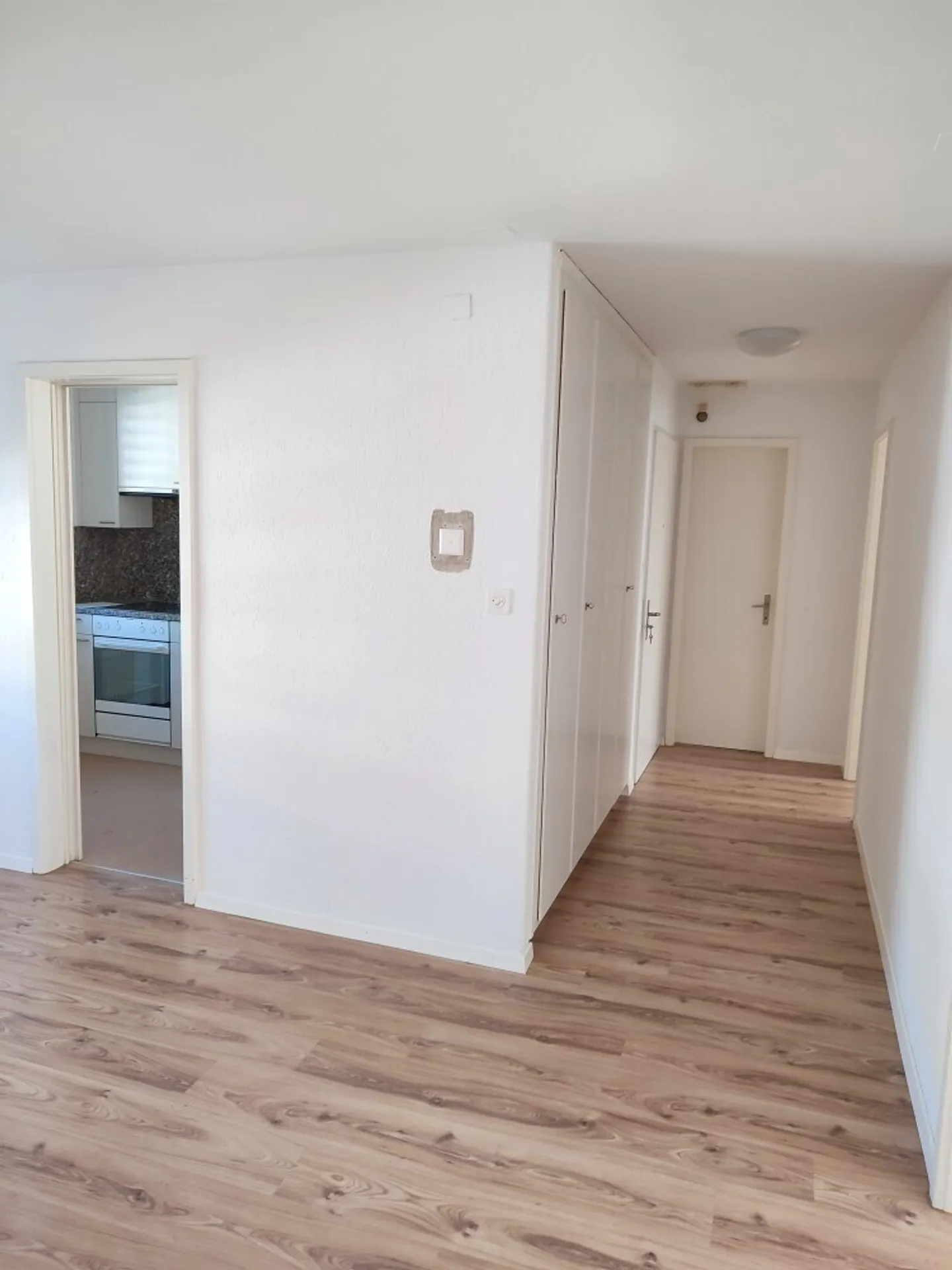 Spacious 4.5-Room Apartment - Photo 6 of 9