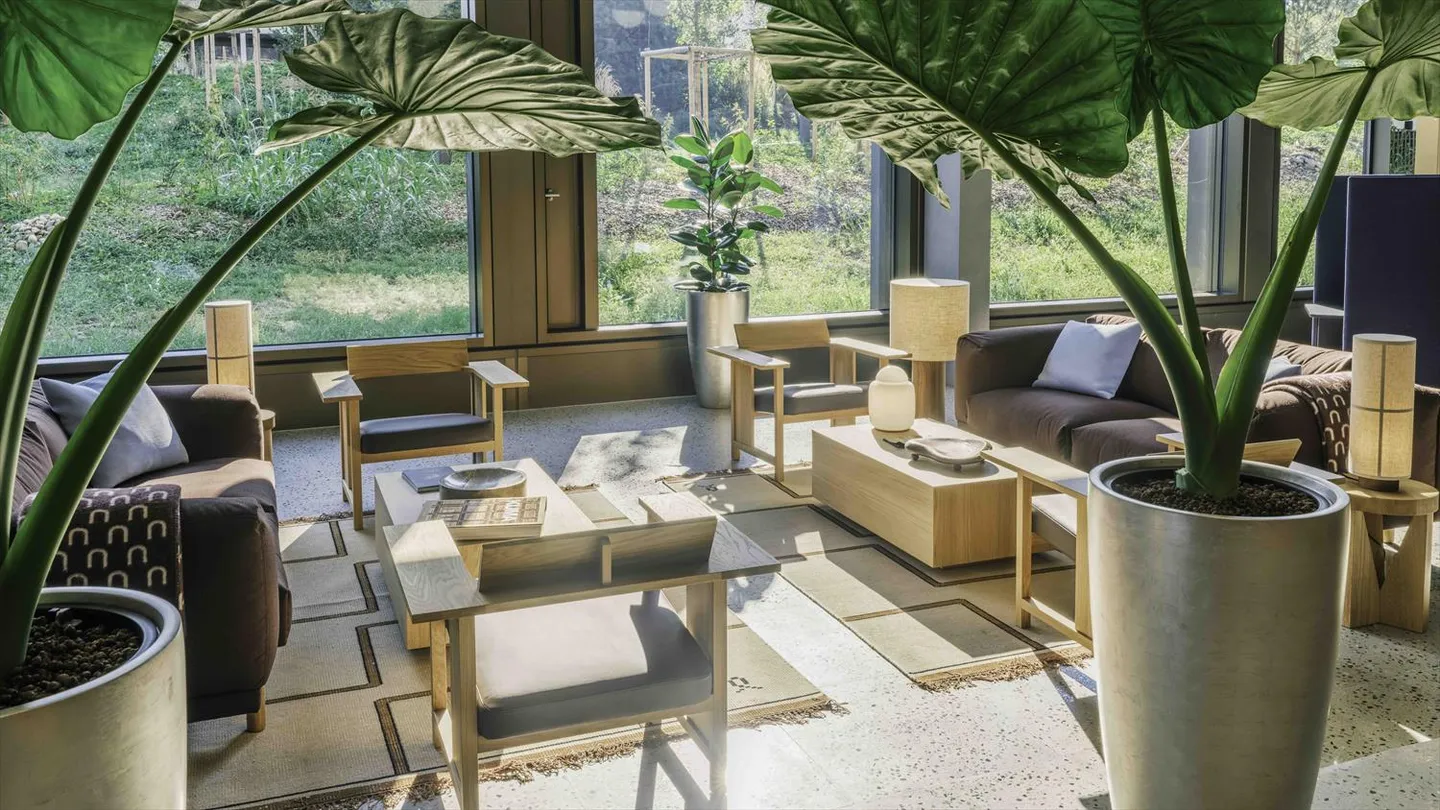 Eine grüne Arbeitsumgebung, die für Begegnungen und Synergien gestaltet ist - Foto 10 von 10