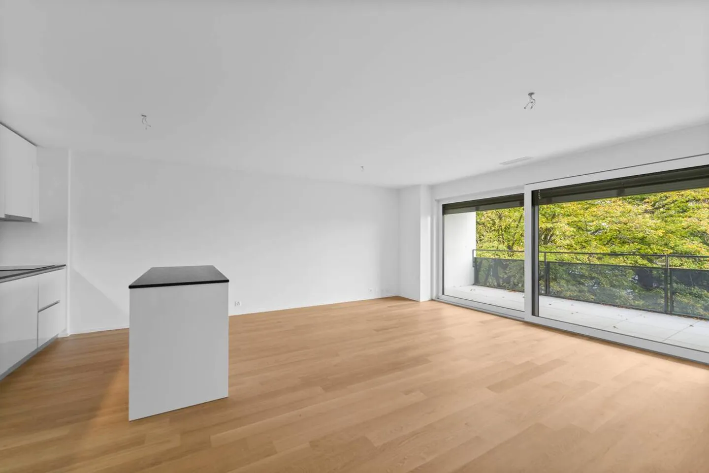 3,5 Zimmer Neubau mit schönem unverbautem Blick auf den See - Foto 3 von 7