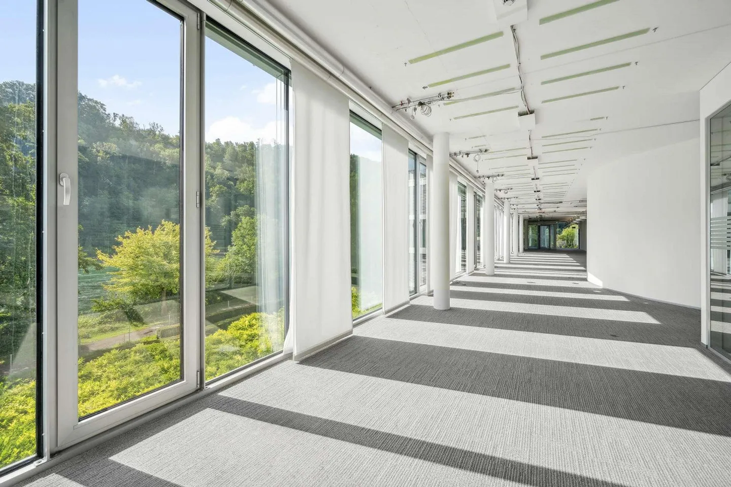 Excellent office space directly on the banks of the Rhine - Photo 10 of 28