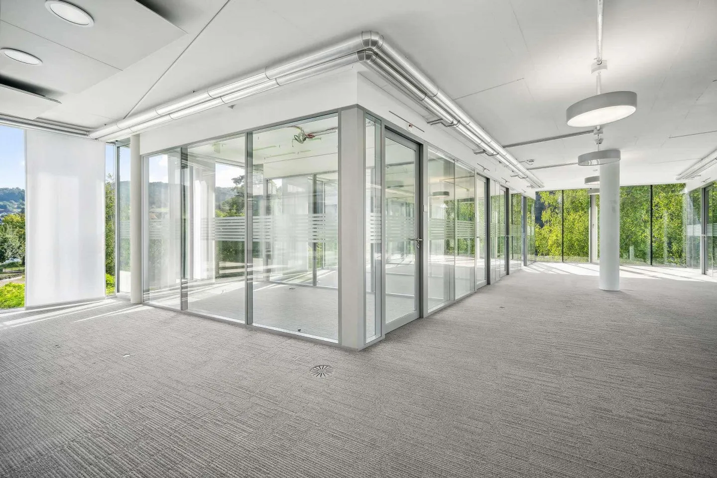Excellent office space directly on the banks of the Rhine - Photo 14 of 28