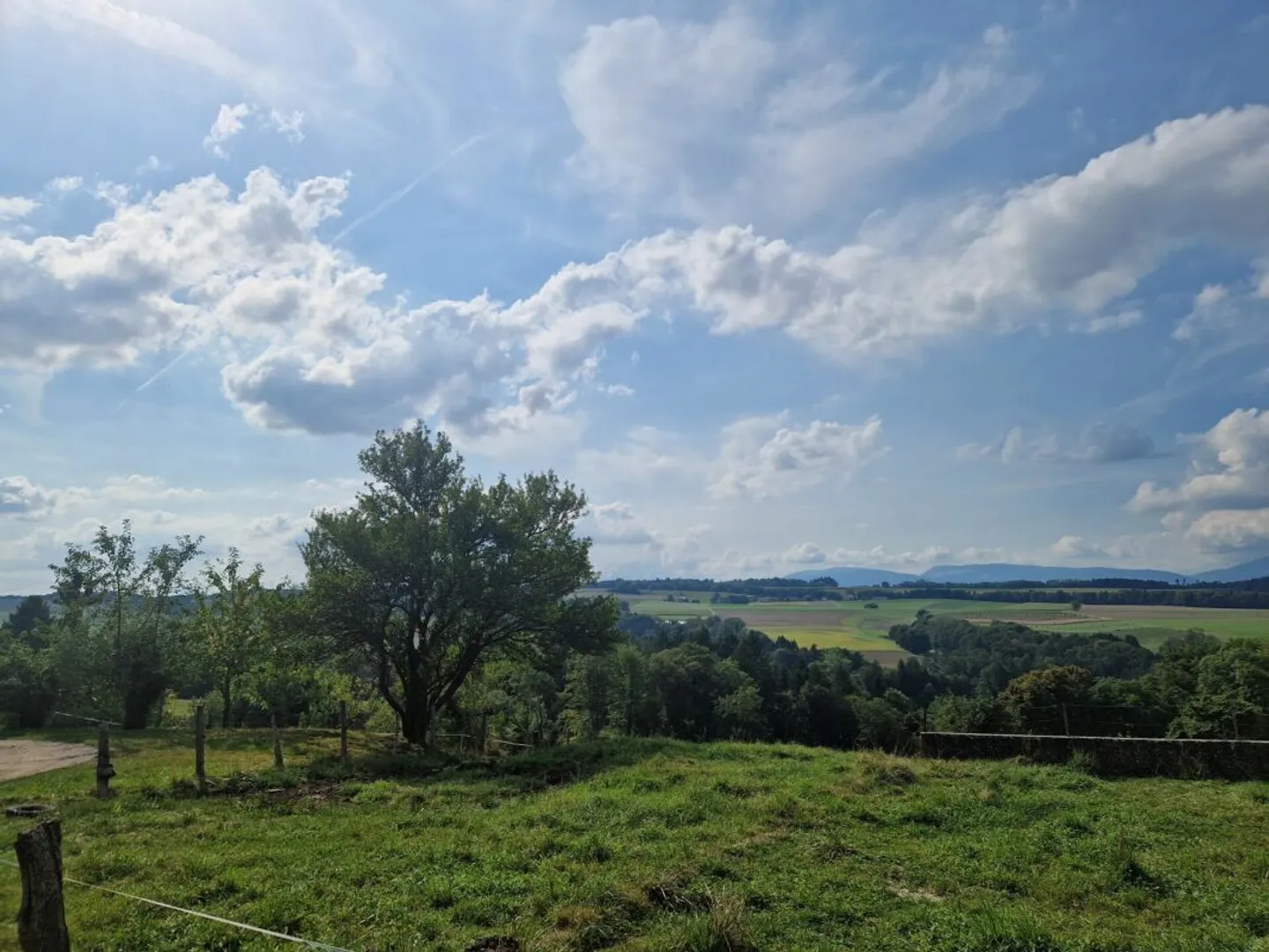 Nuovo appartamento di 3,5 stanze a Bioley-Magnoux - Foto 9 di 19