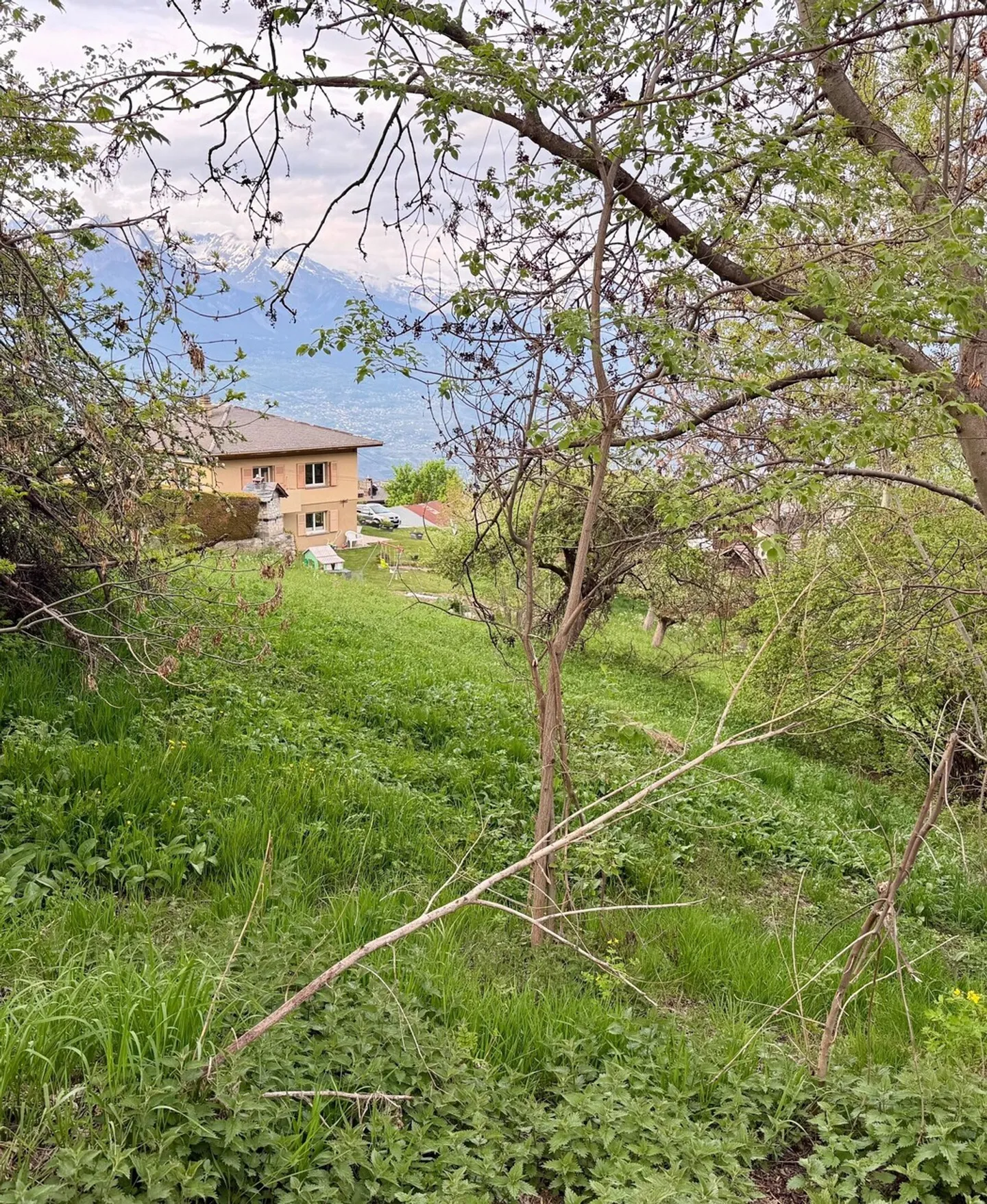 Terreno edificabile - Foto 3 di 4