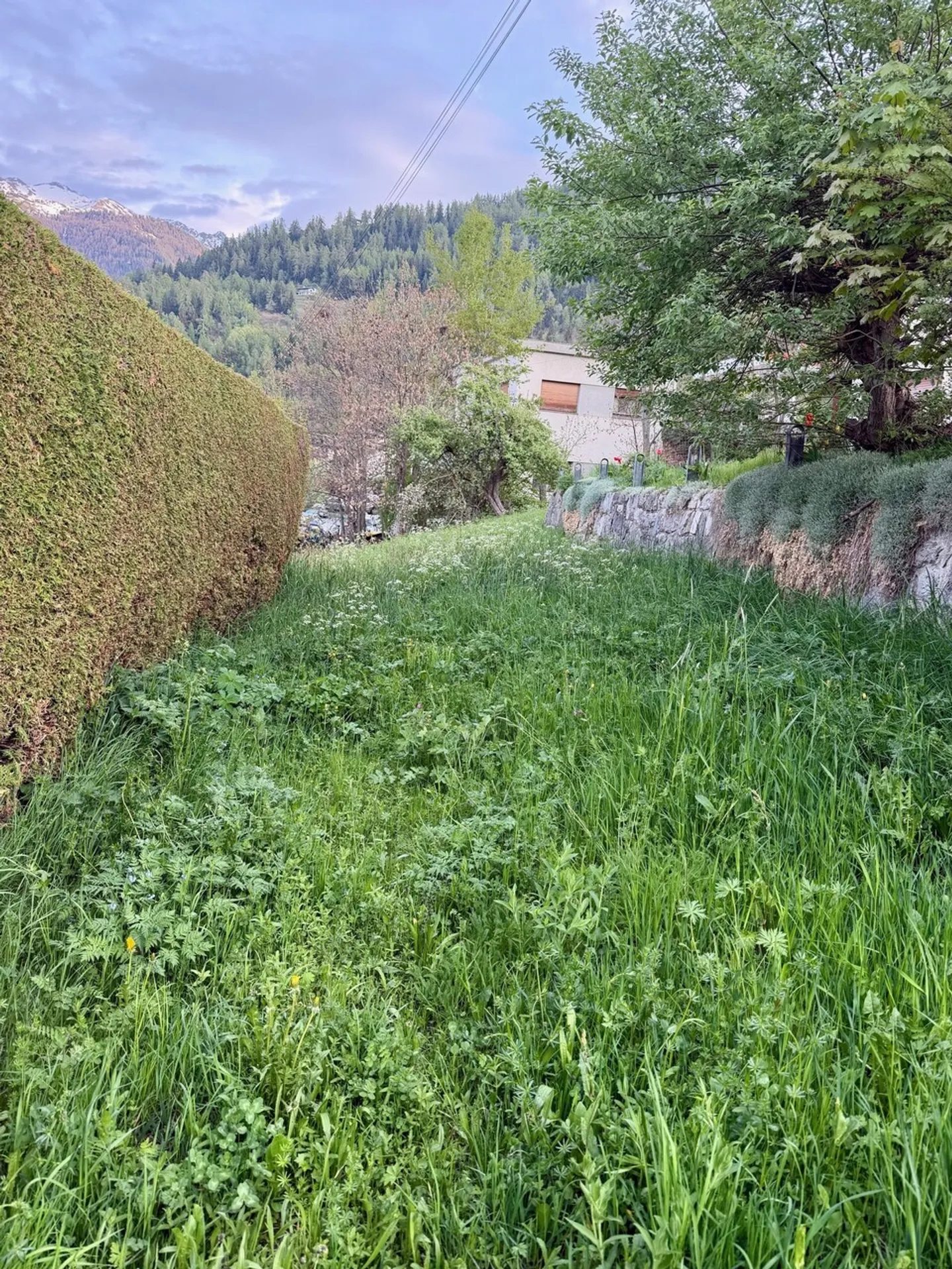 Terreno edificabile - Foto 4 di 4