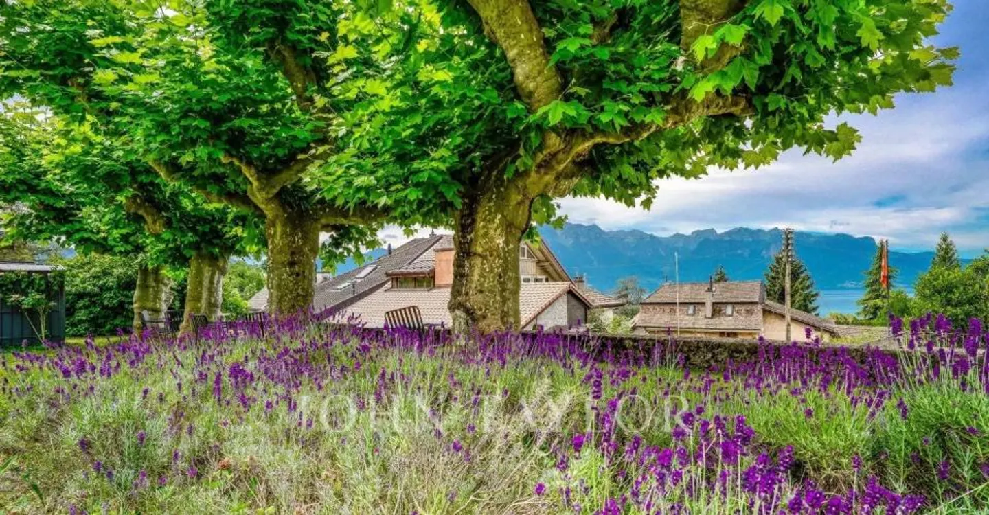 Appartamento di 3,5 locali in affitto? Ideale per investitori - Foto 7 di 11