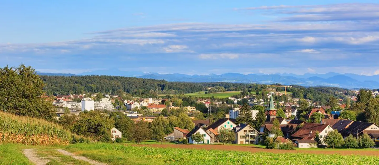 Moderno appartamento di 3,5 stanze al confine della foresta - Foto 8 di 9
