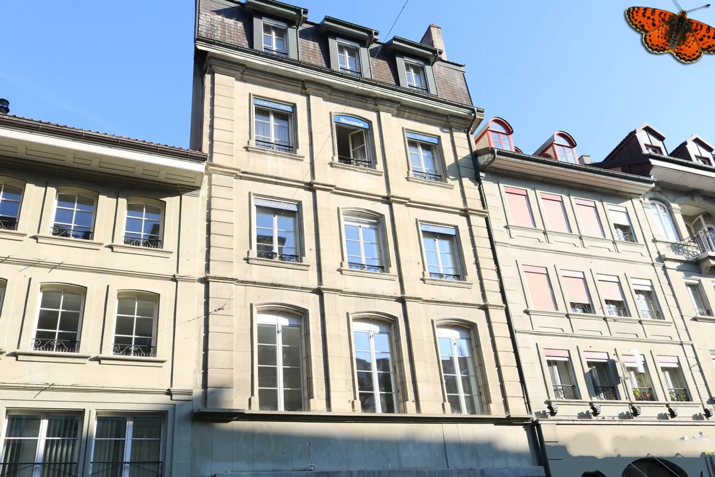SPACIOUS 5-ROOM APARTMENT - Heart of the city - Photo 2 of 15