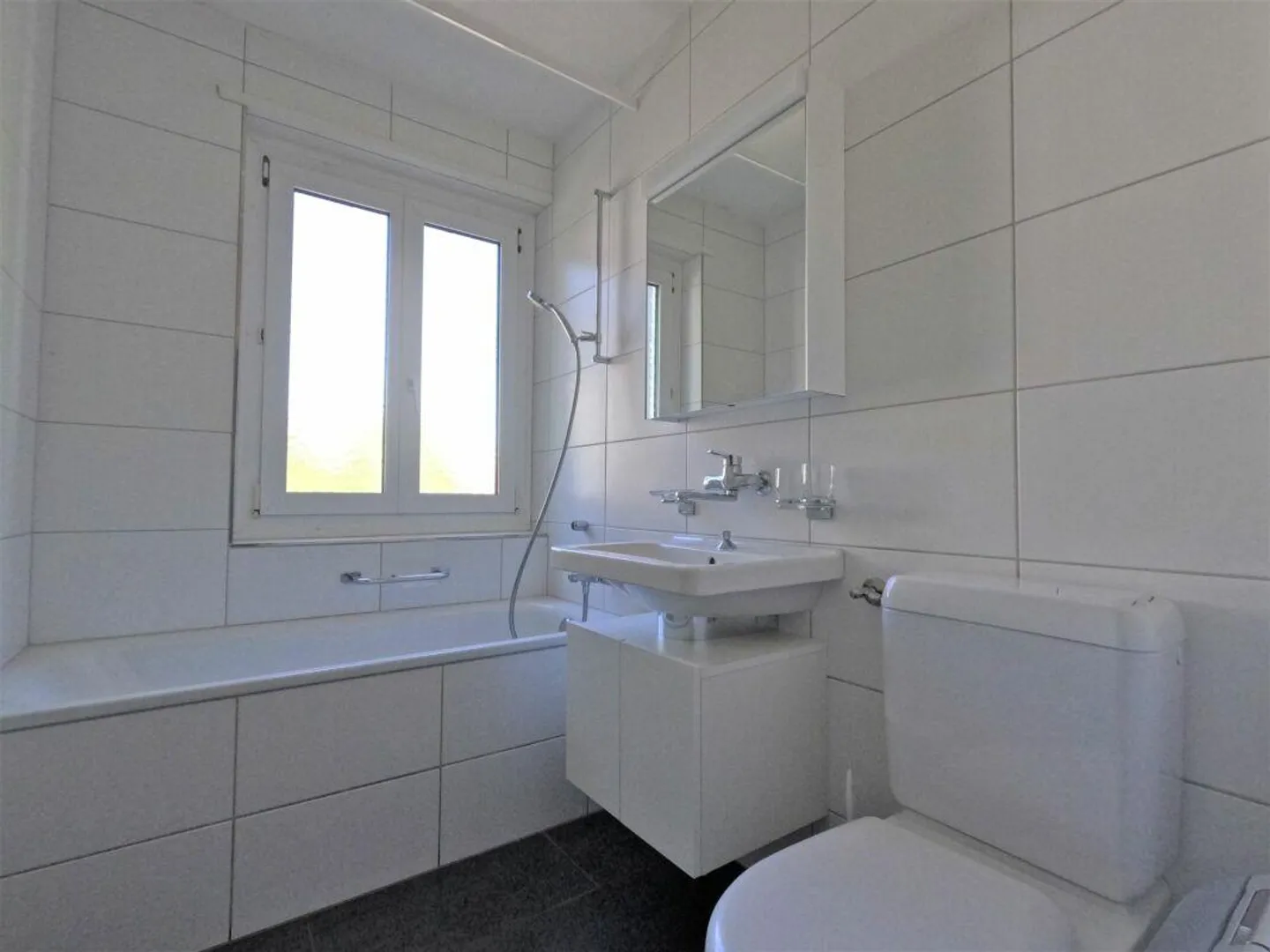 #verliebtinschaffhausen - wundervolle Wohnung mit neuer Küche, neue... - Foto 3 von 12