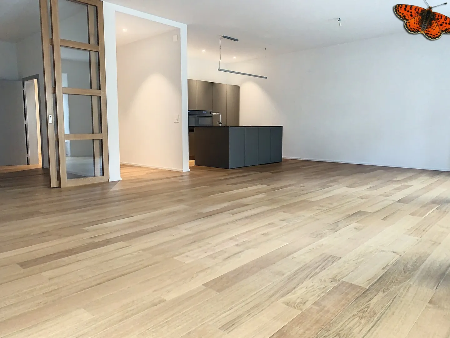 SPACIOUS 5-ROOM APARTMENT - Heart of the city - Photo 3 of 15