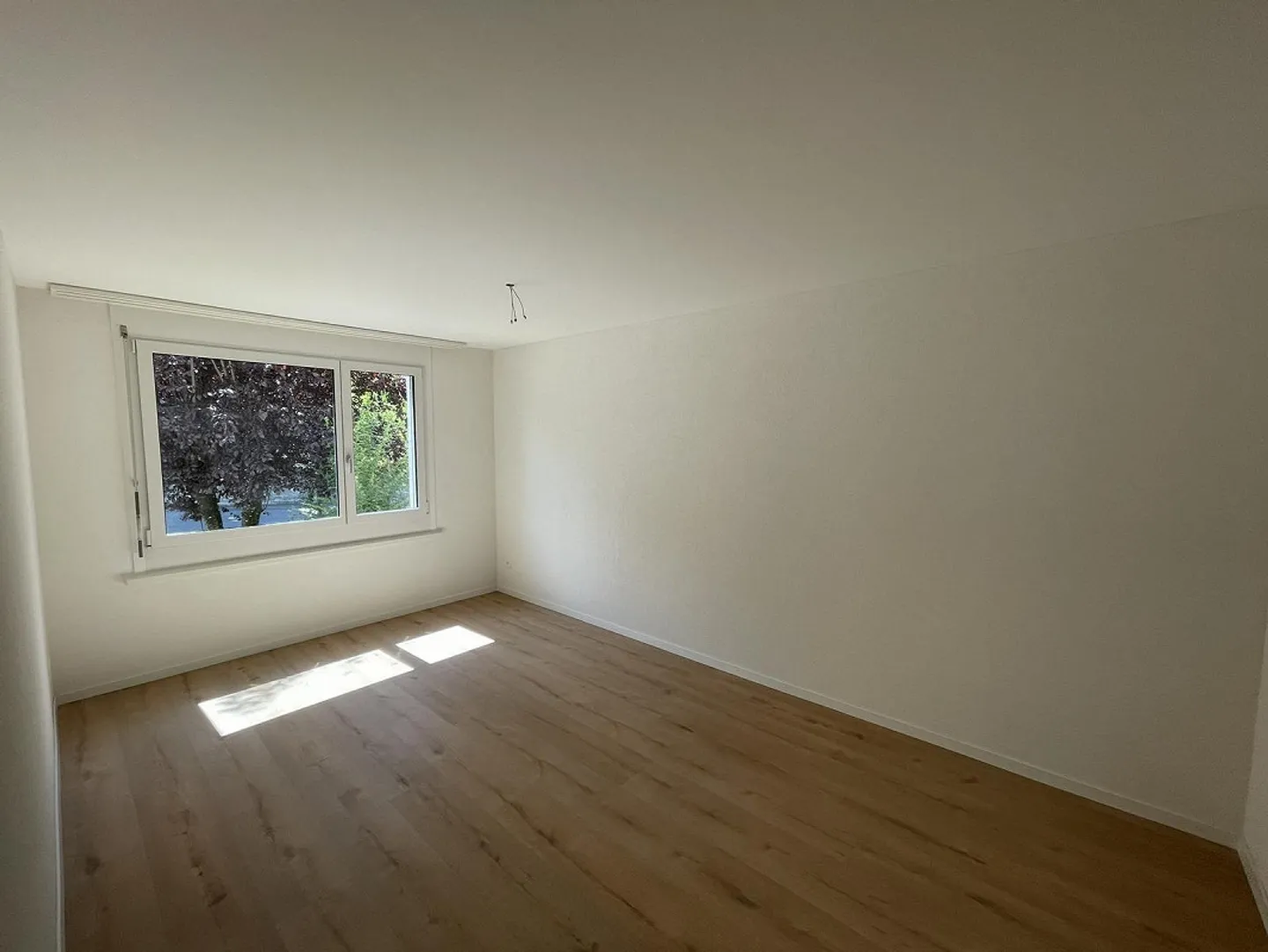 Lassen Sie sich überzeugen... - Foto 8 von 15