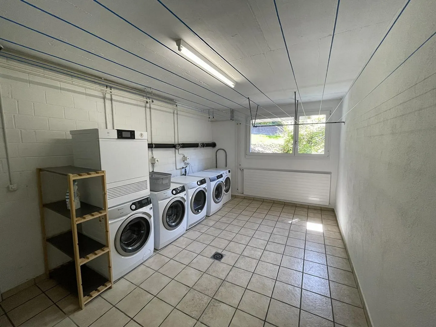 Lassen Sie sich überzeugen... - Foto 13 von 15