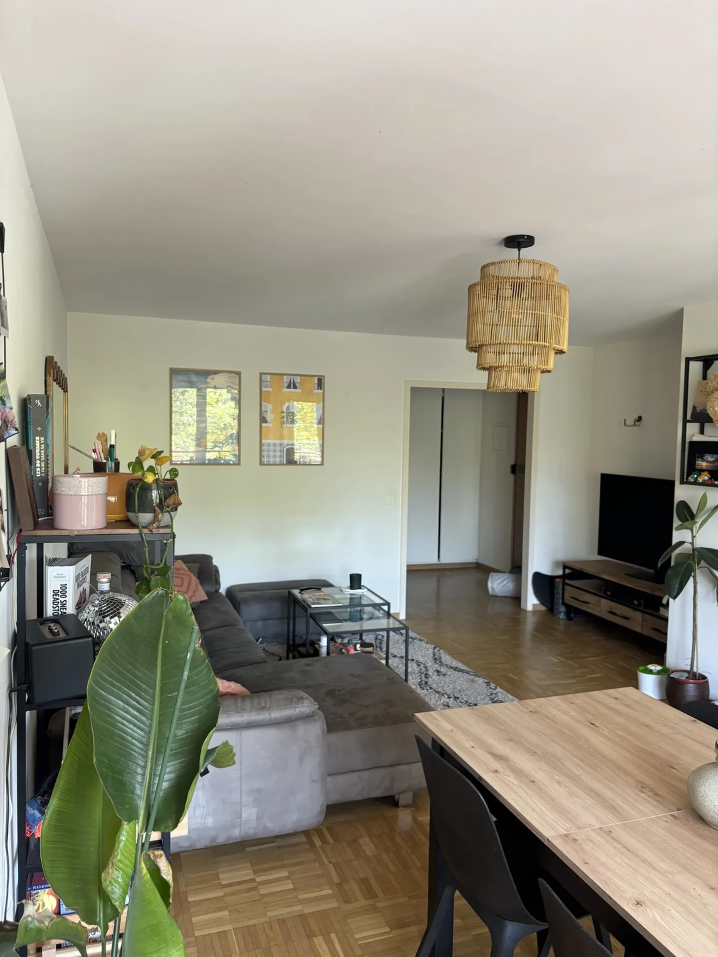 Charming Apartment in Plainpalais - Photo 2 of 8