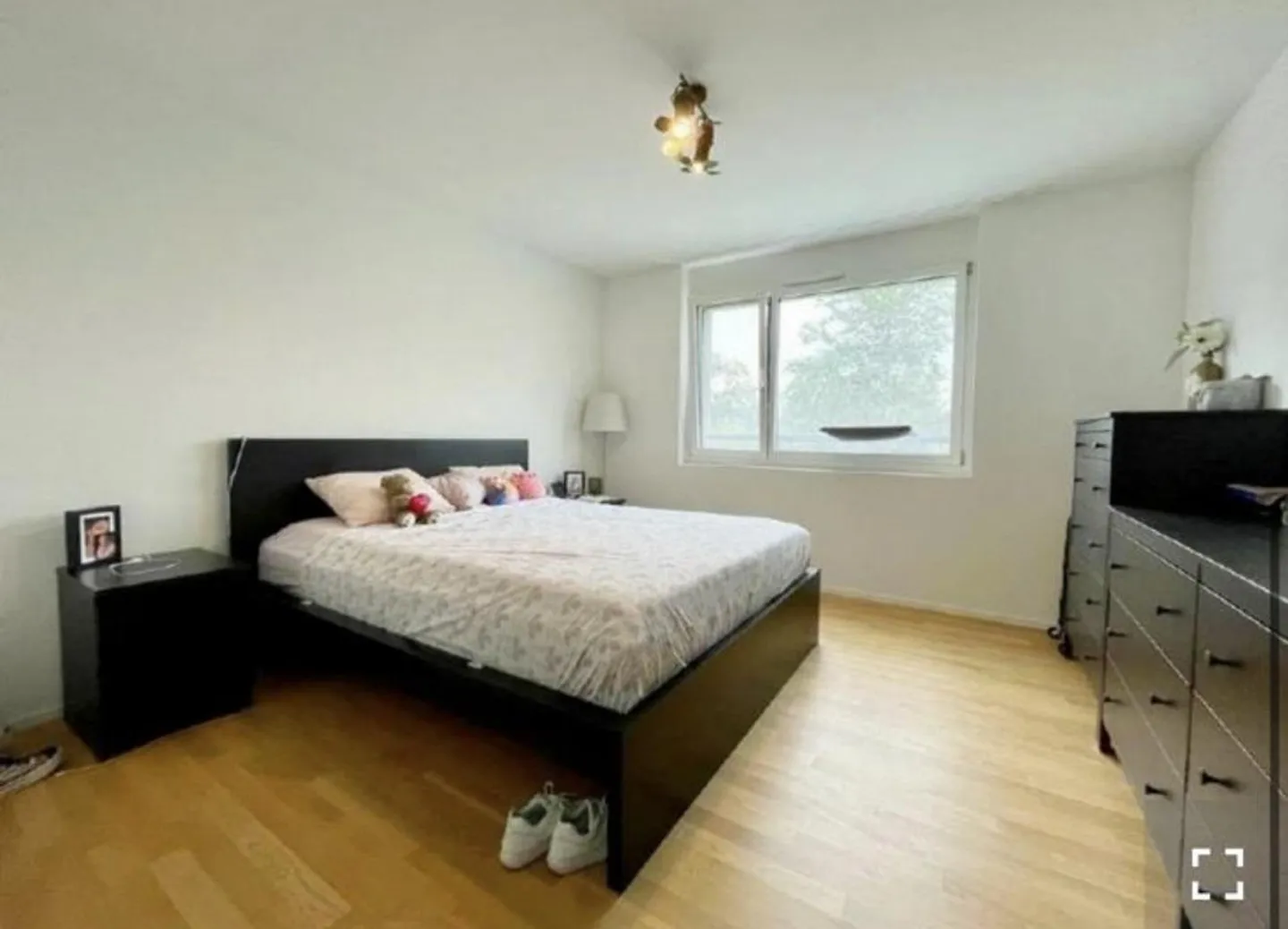 3.5 Room Apartment - Photo 2 of 8