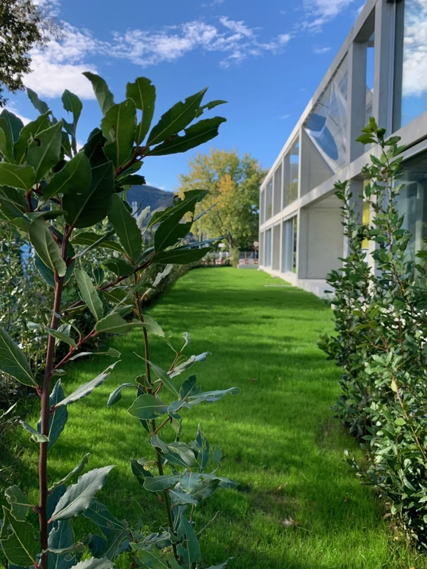 Edificio residenziale in affitto - Foto 1 di 31