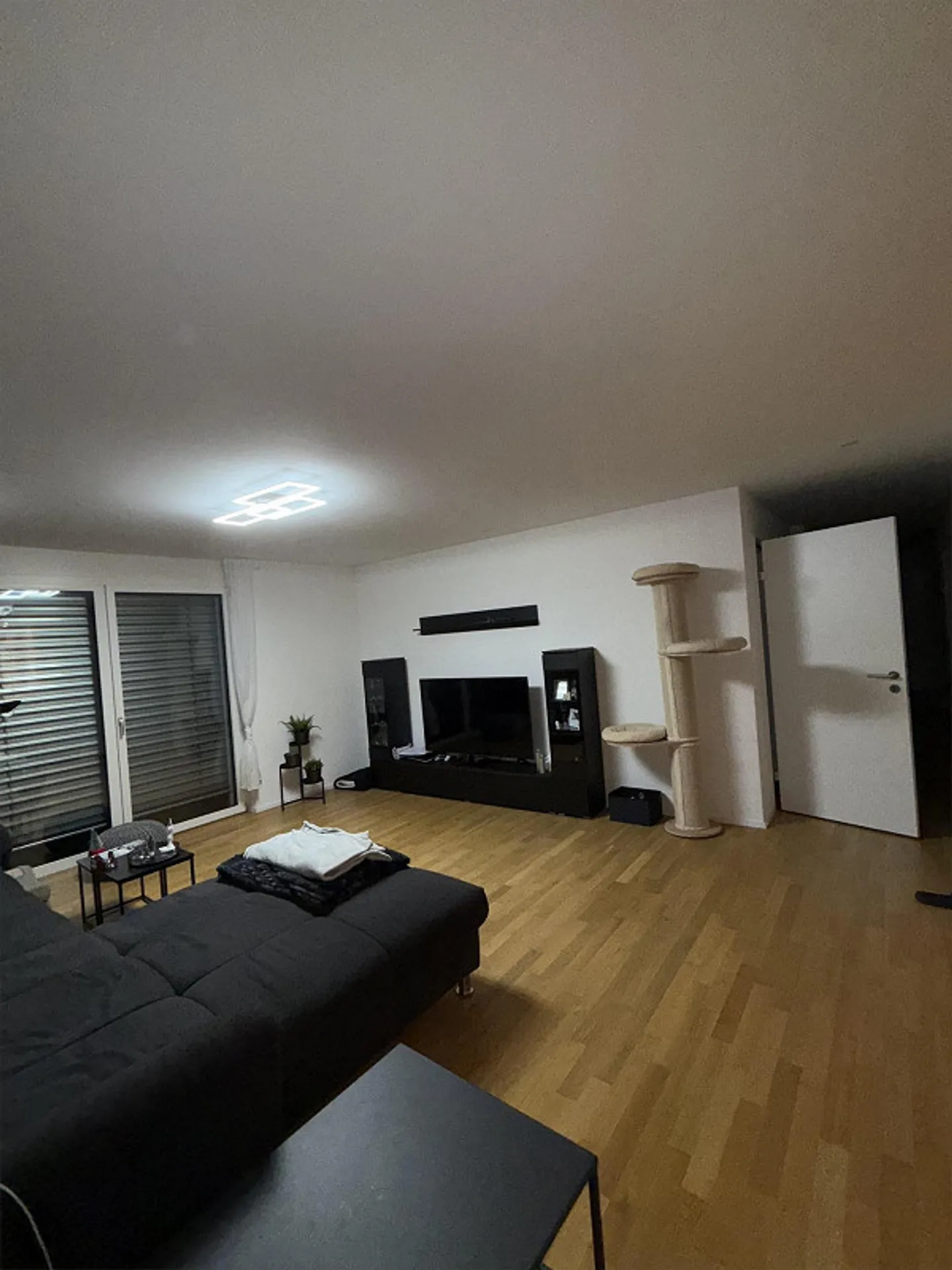 3.5 Room Apartment - Photo 6 of 8