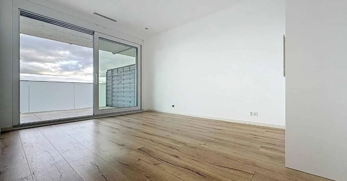 4.5-room duplex with basement, garden and lake view - Photo 4 of 10
