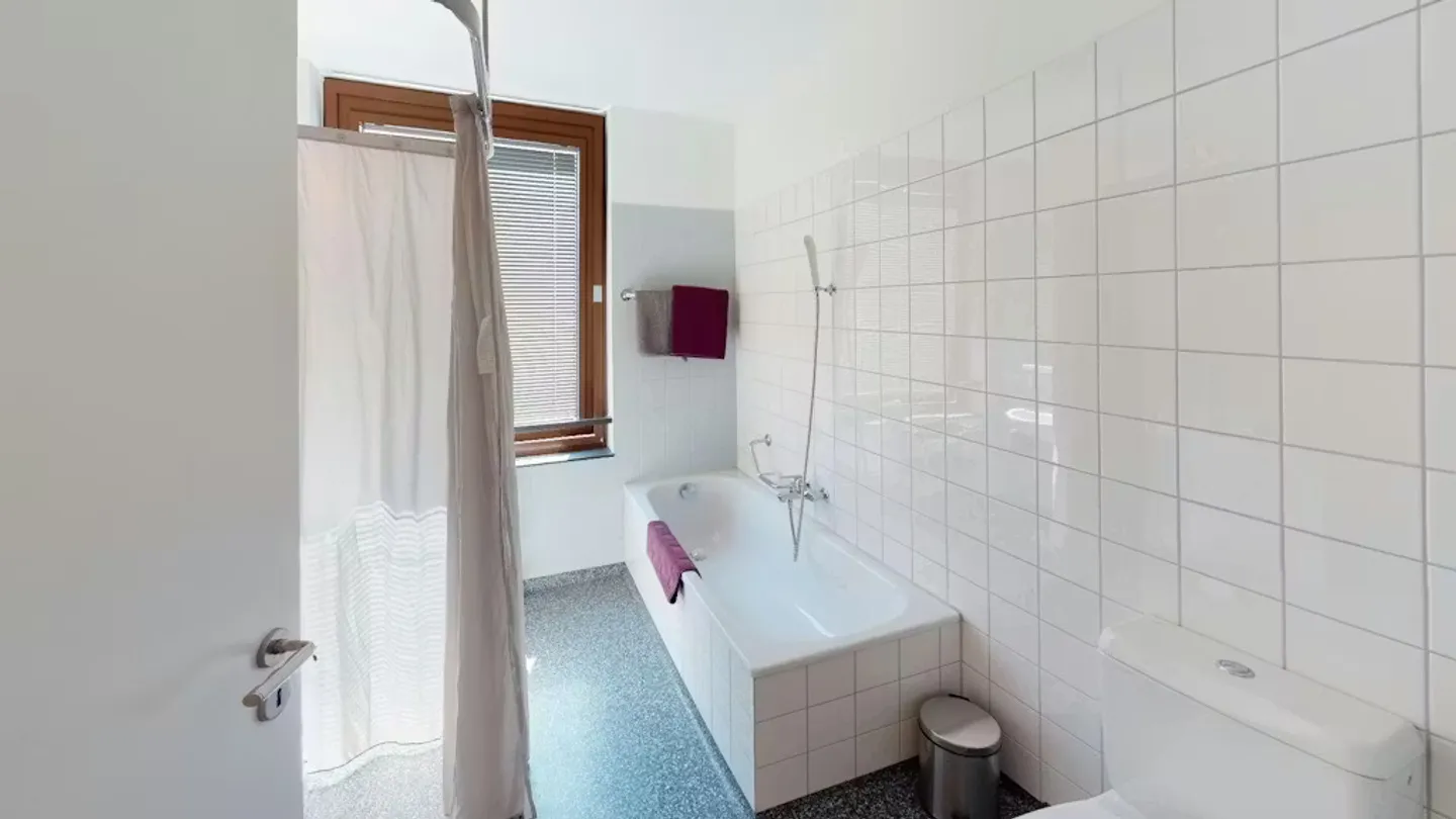 Charming Basel Apartment - Photo 9 of 10