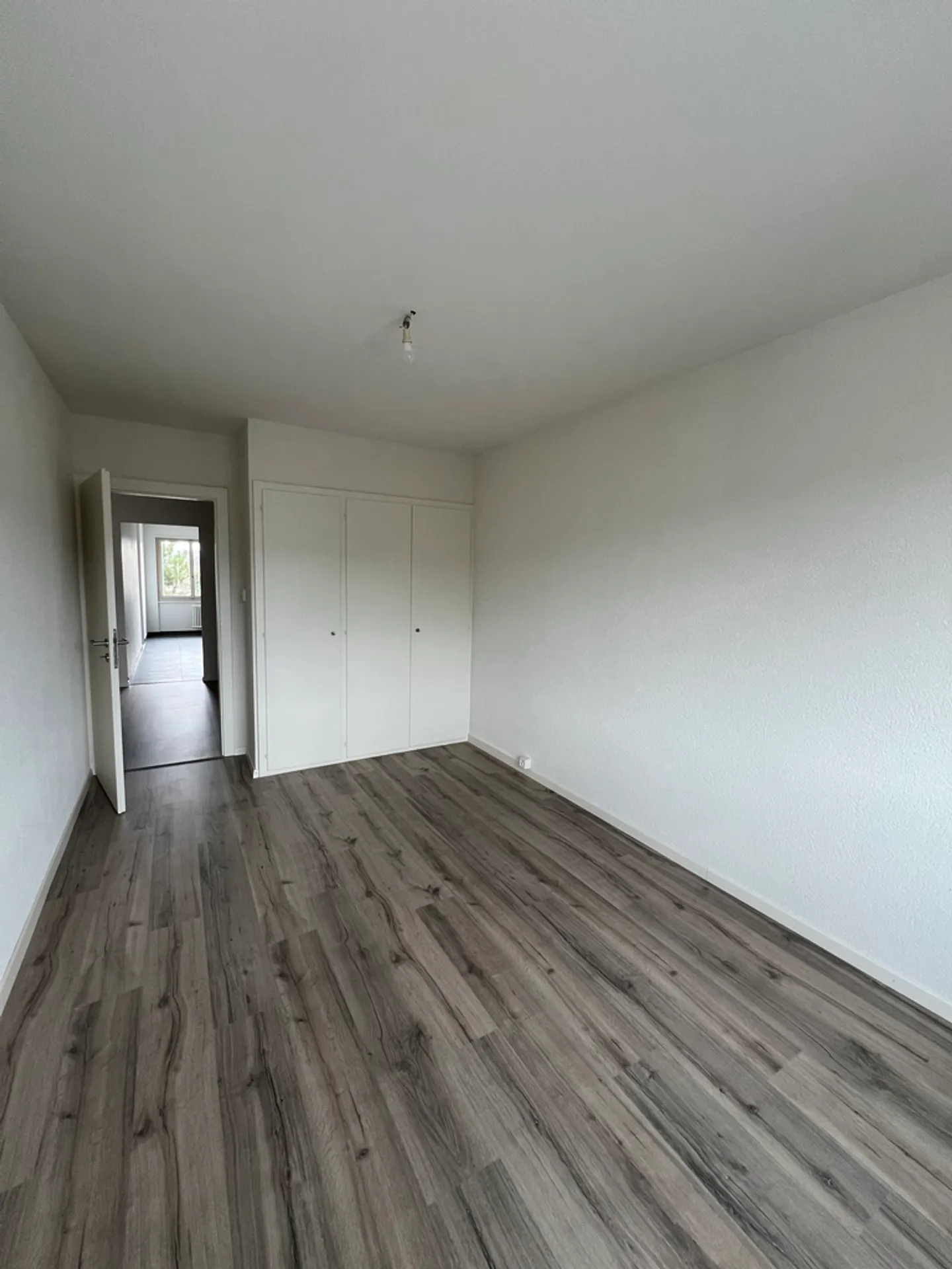 3.5 Room Apartment - Photo 3 of 7